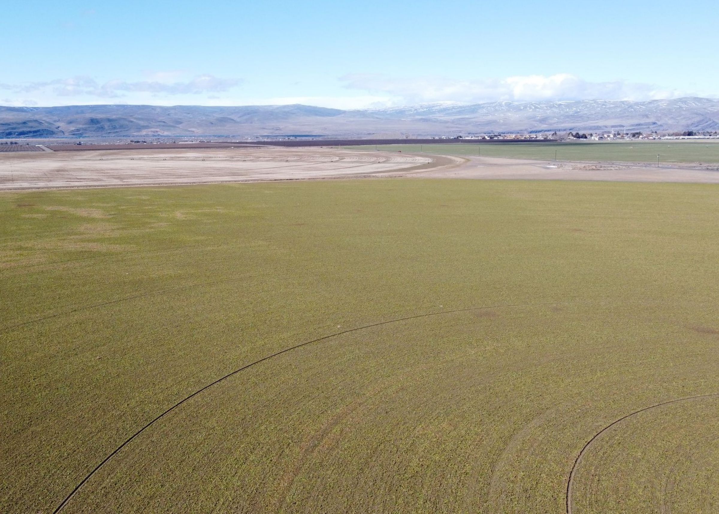 Mattawa Irrigated Farm Pic 3