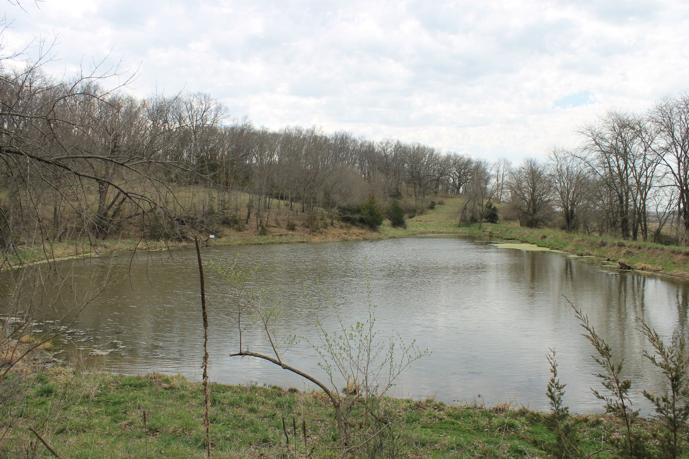 land-warren-county-iowa-186-acres-listing-number-15447-1-2021-04-09-154343.JPG