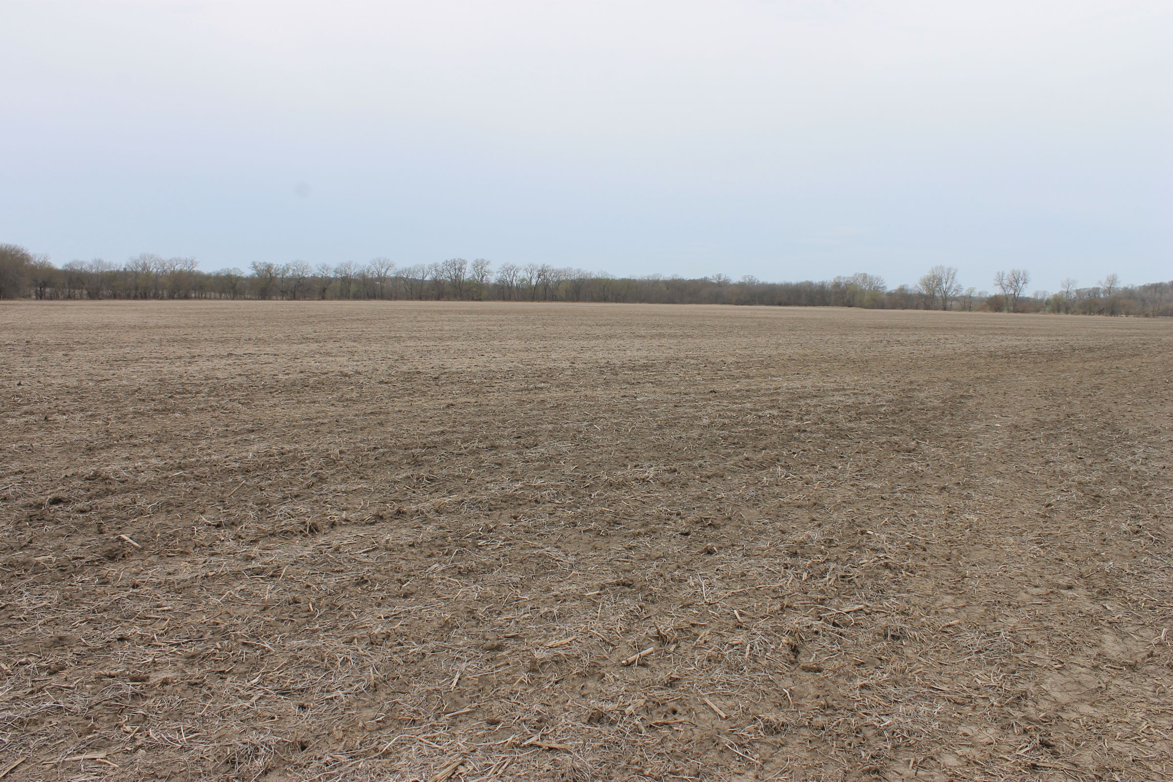 land-warren-county-iowa-186-acres-listing-number-15447-5-2021-04-09-154638.JPG