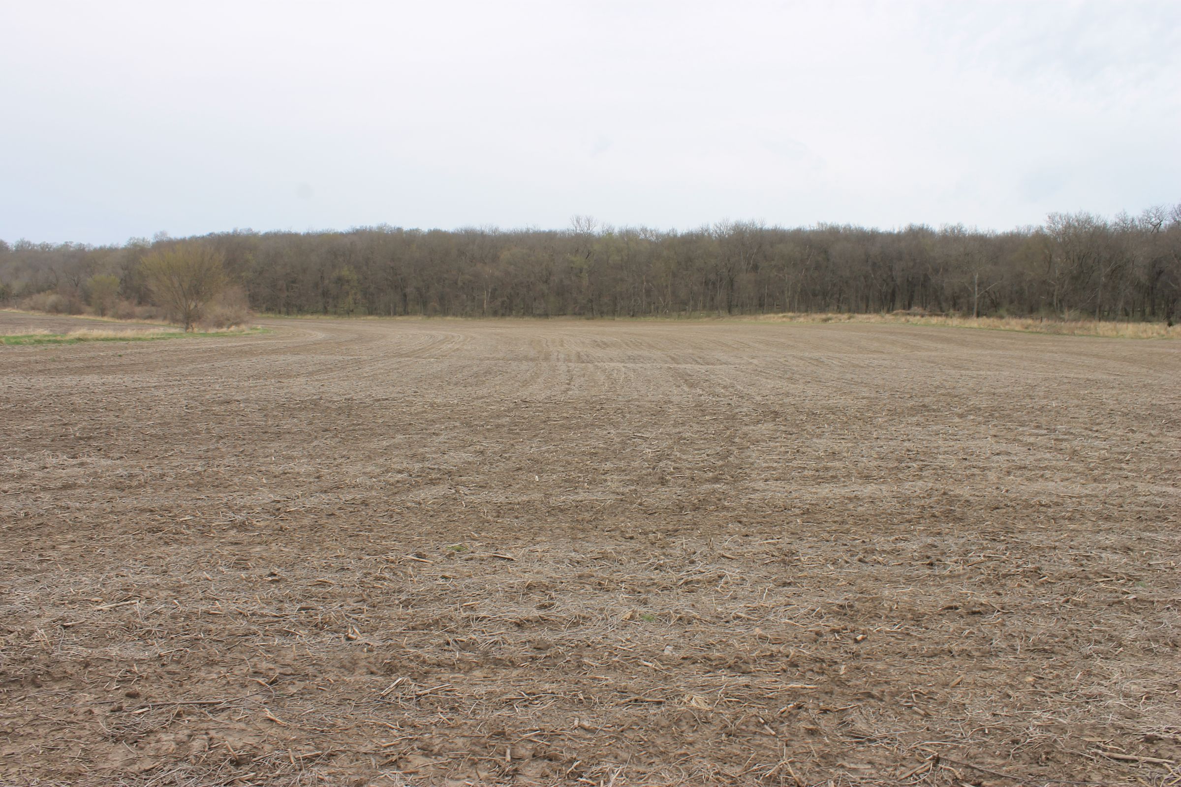 land-warren-county-iowa-186-acres-listing-number-15447-7-2021-04-09-154640.JPG