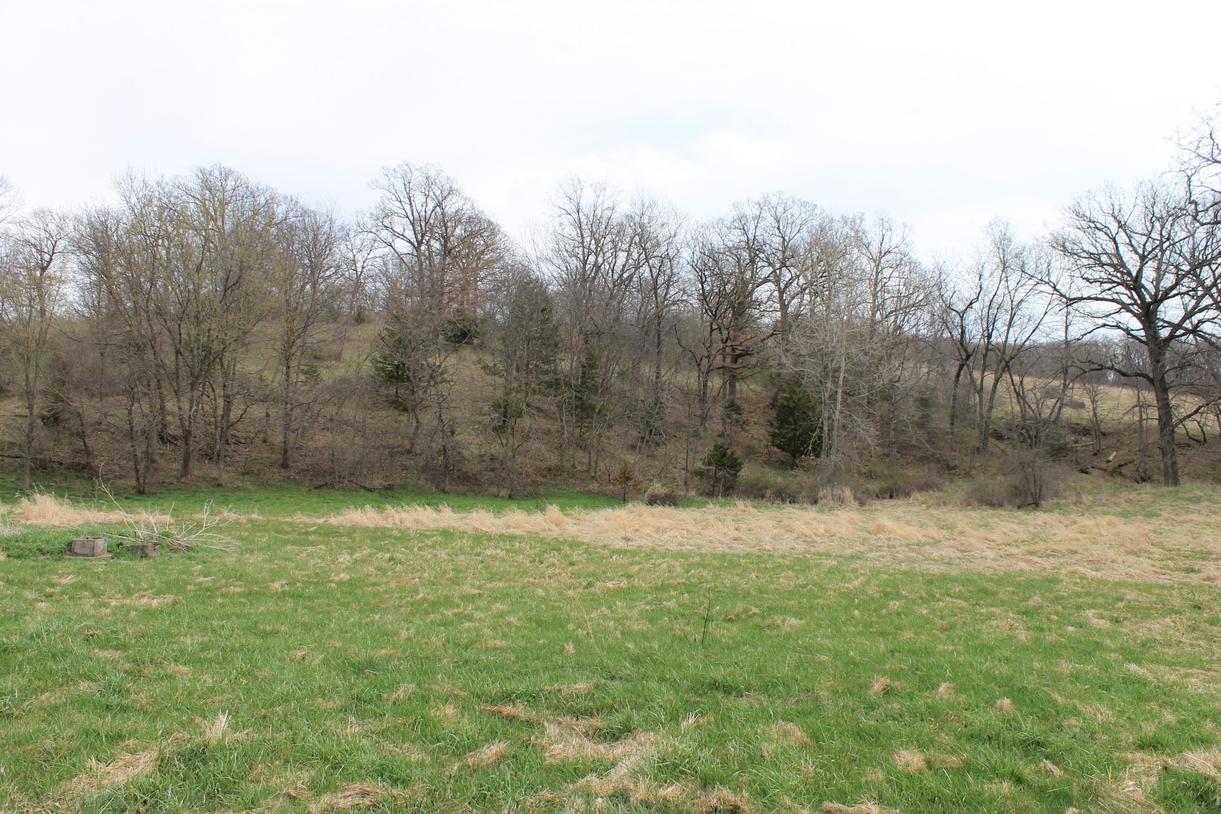 land-warren-county-iowa-71-acres-listing-number-15449-2-2021-04-09-150745.JPG