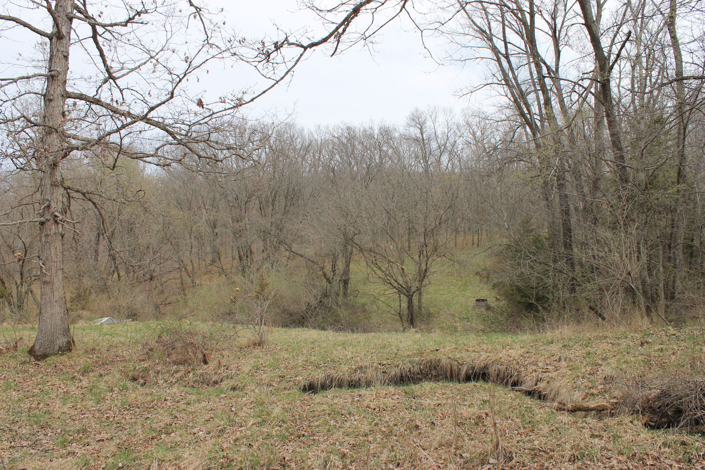 land-warren-county-iowa-71-acres-listing-number-15449-4-2021-04-09-150748.JPG