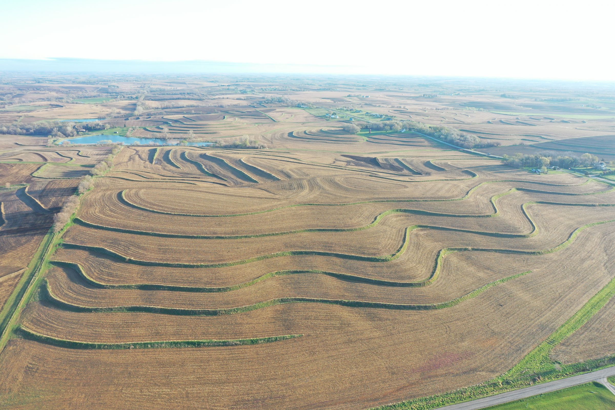 land-mills-county-iowa-284-acres-listing-number-15452-2-2021-04-09-180530.JPG