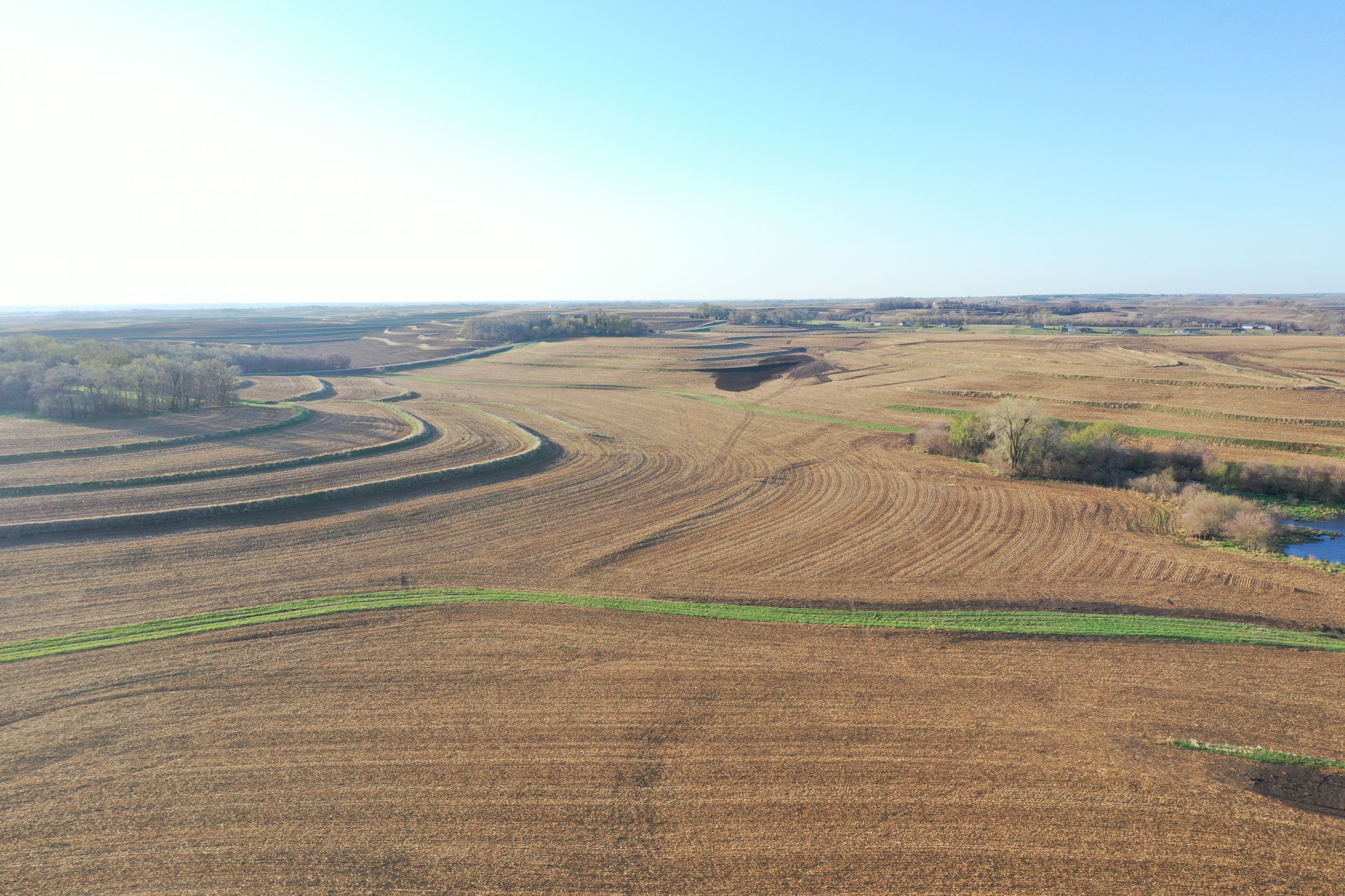 land-mills-county-iowa-284-acres-listing-number-15452-2-2021-04-09-180720.JPG