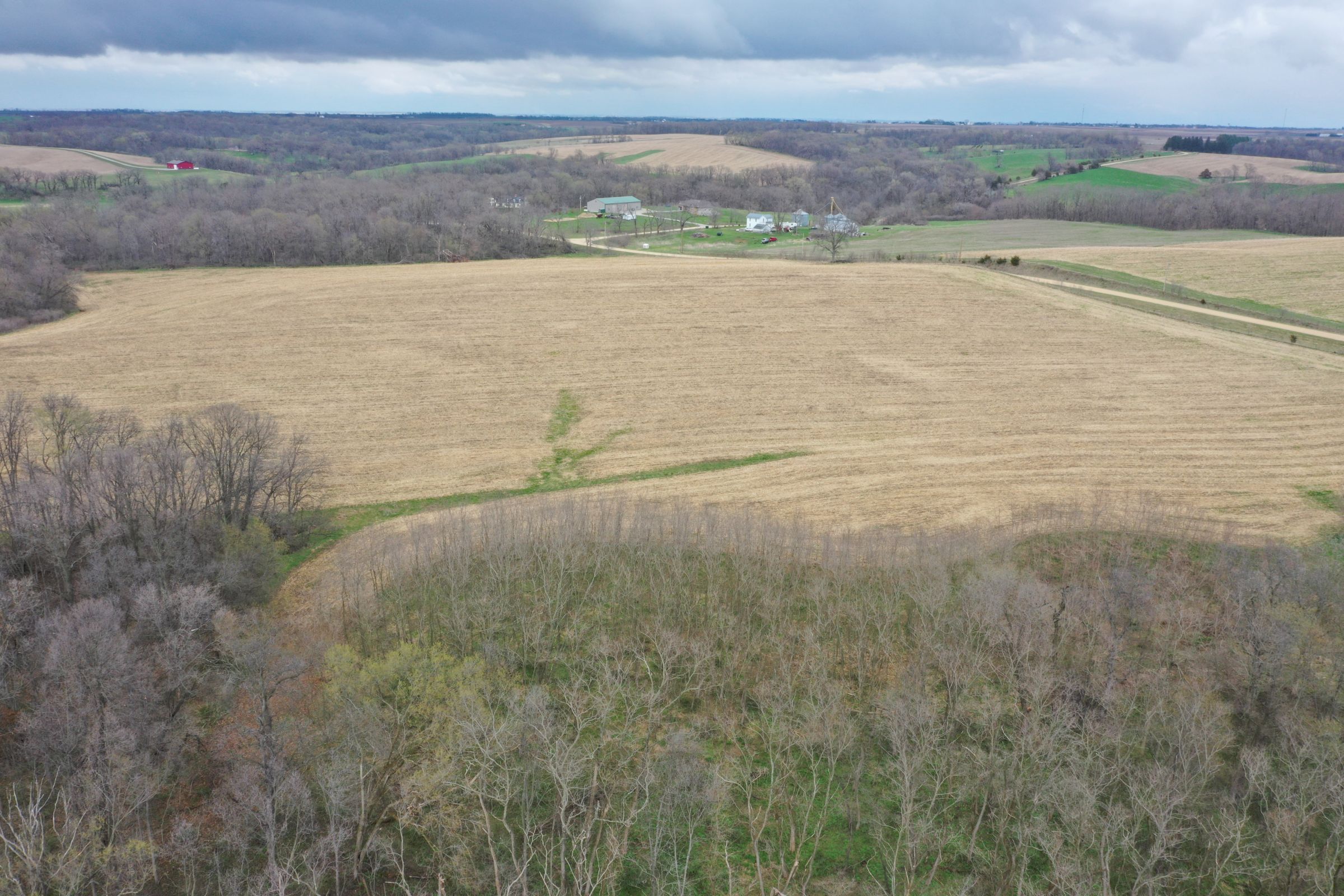 land-cedar-county-iowa-267-acres-listing-number-15472-0-2021-04-19-190916.JPG