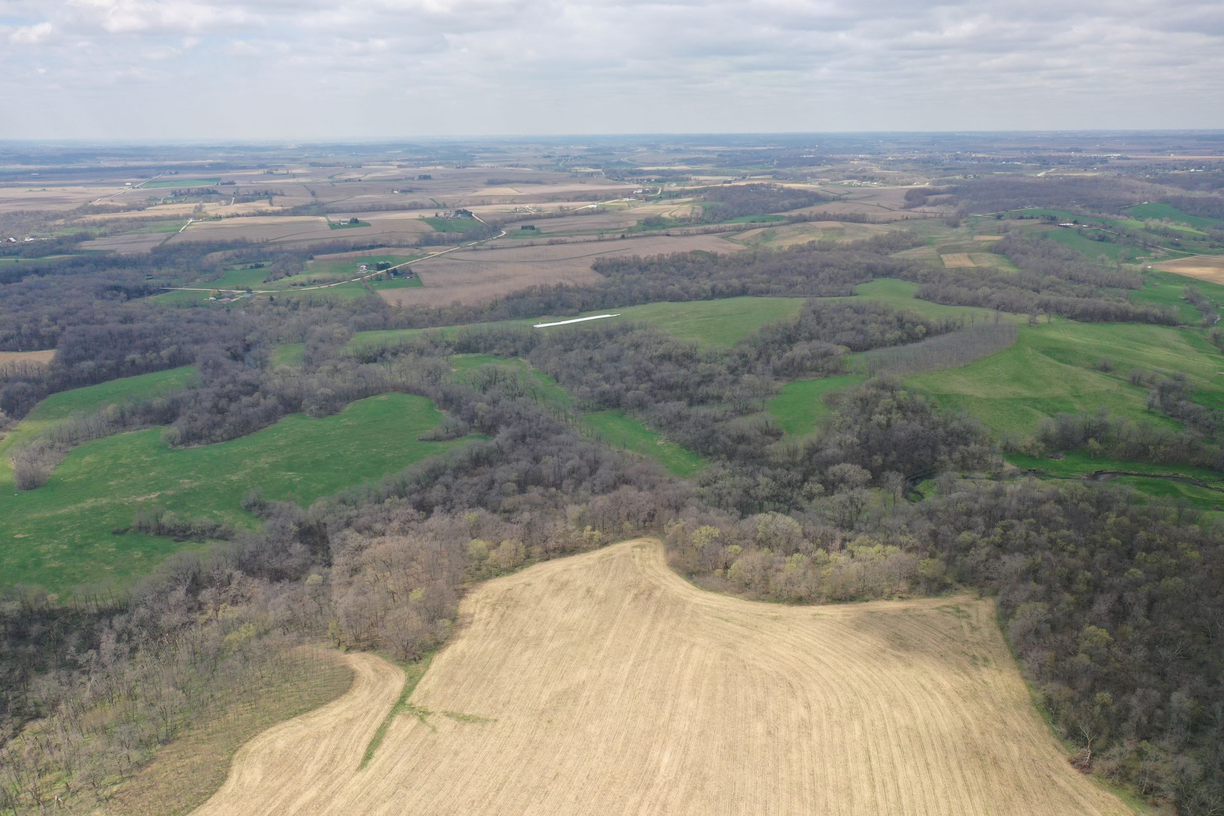 land-cedar-county-iowa-267-acres-listing-number-15472-1-2021-04-19-185925.JPG