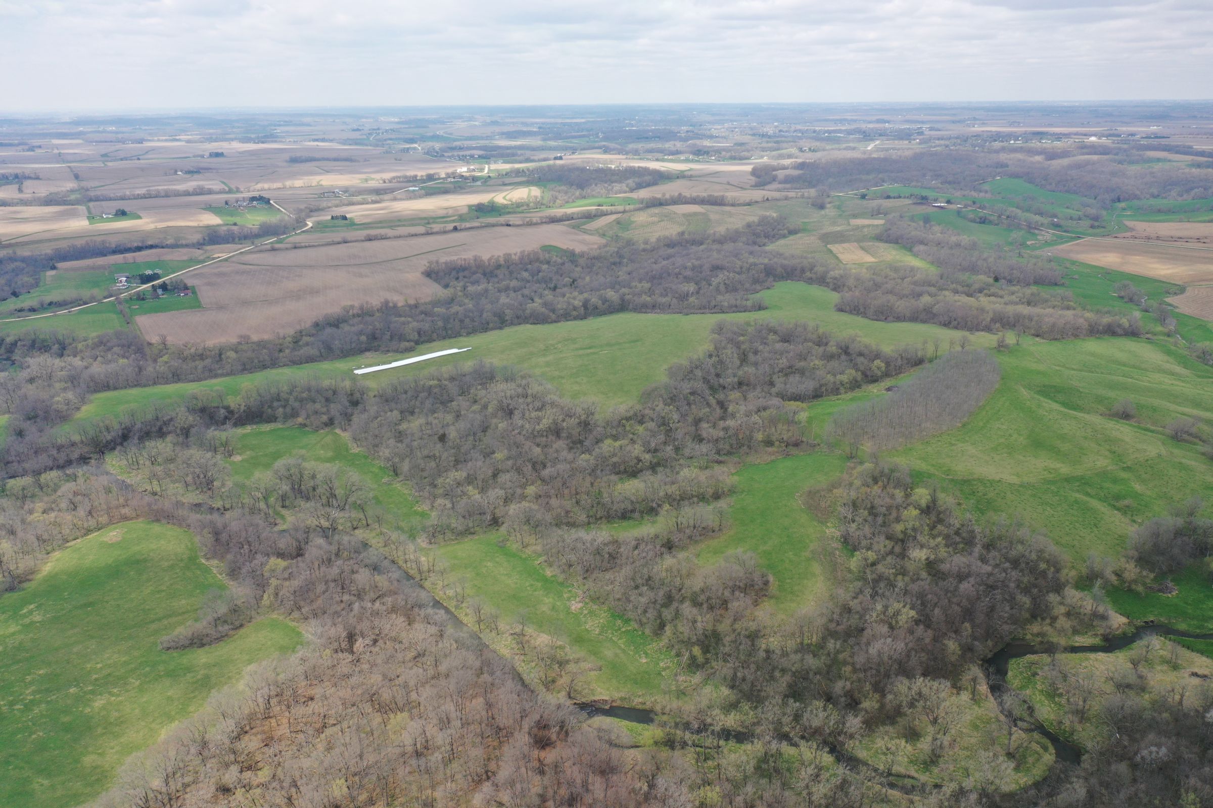 land-cedar-county-iowa-267-acres-listing-number-15472-2-2021-04-19-185926.JPG