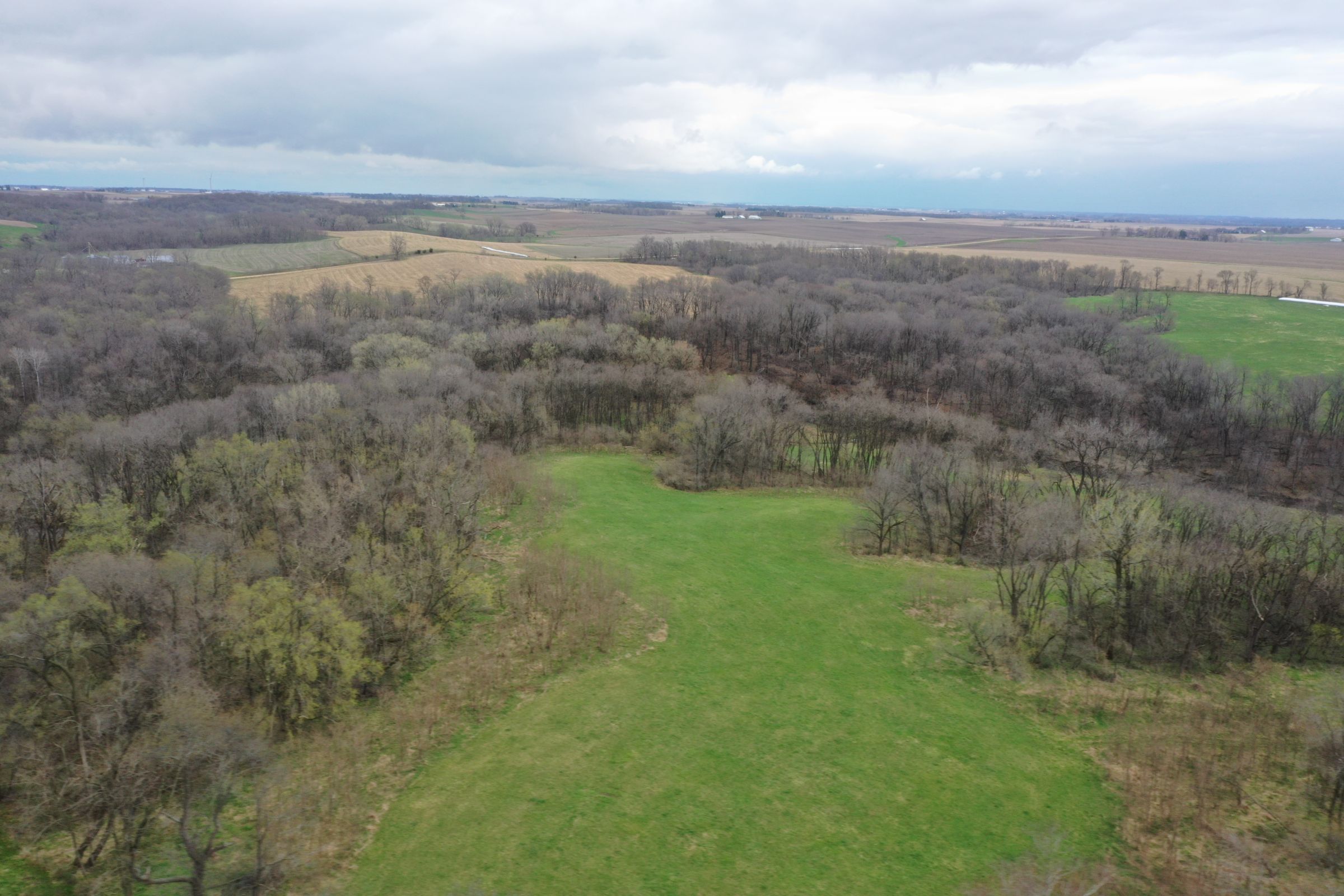 land-cedar-county-iowa-267-acres-listing-number-15472-2-2021-04-19-190821.JPG