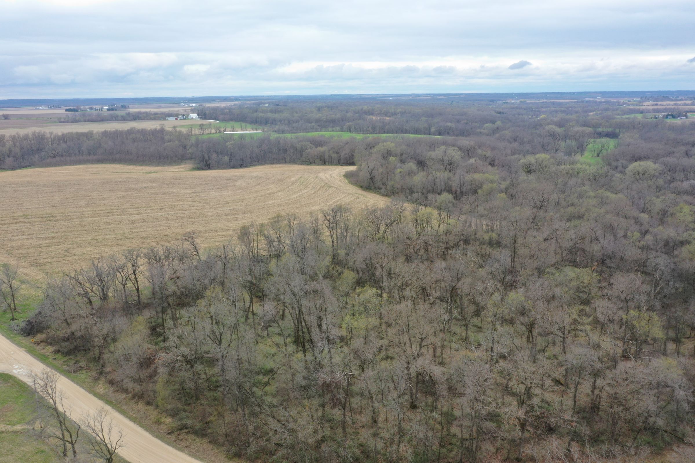 land-cedar-county-iowa-267-acres-listing-number-15472-2-2021-04-19-190920.JPG