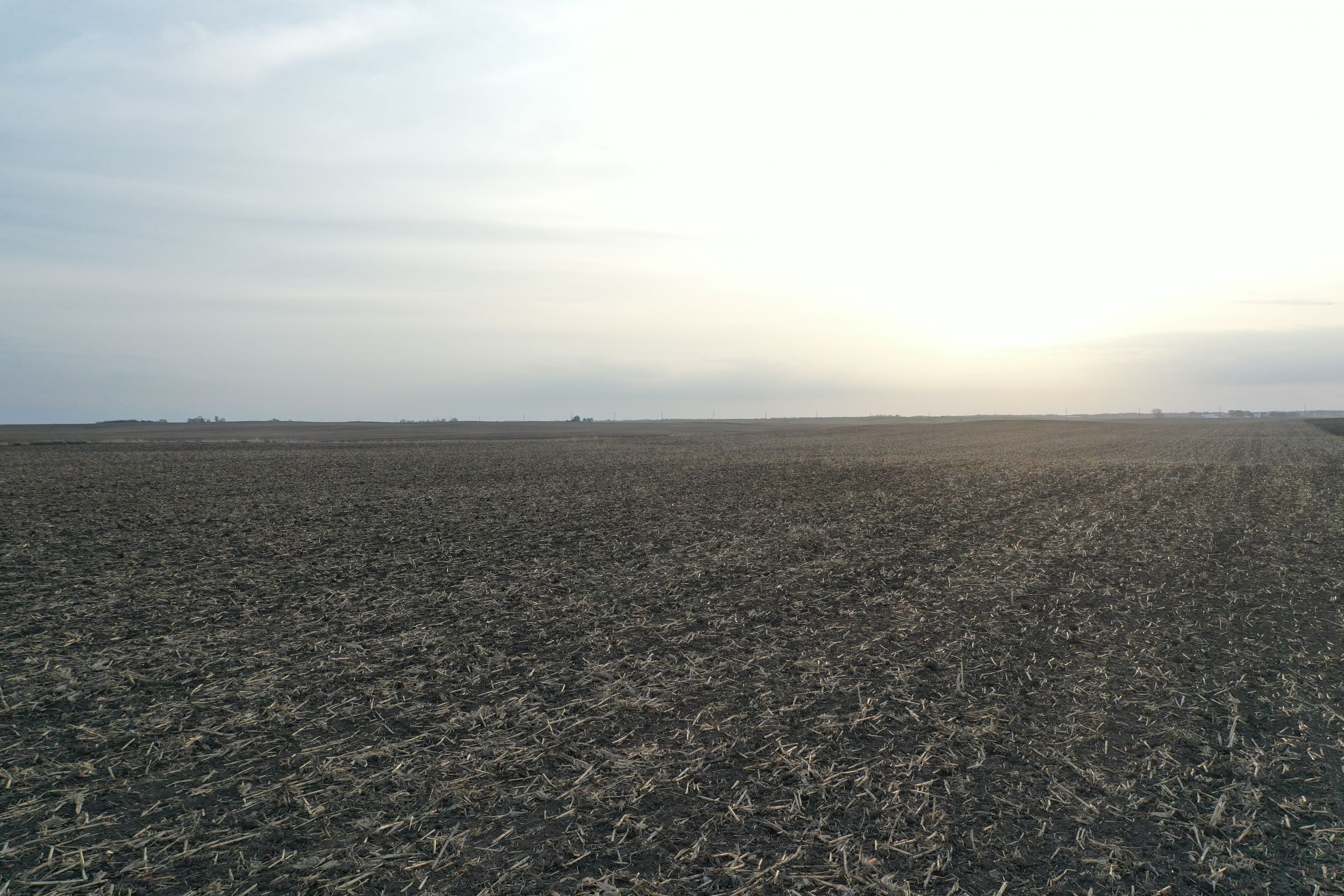 Boone County Iowa Farmland For Sale