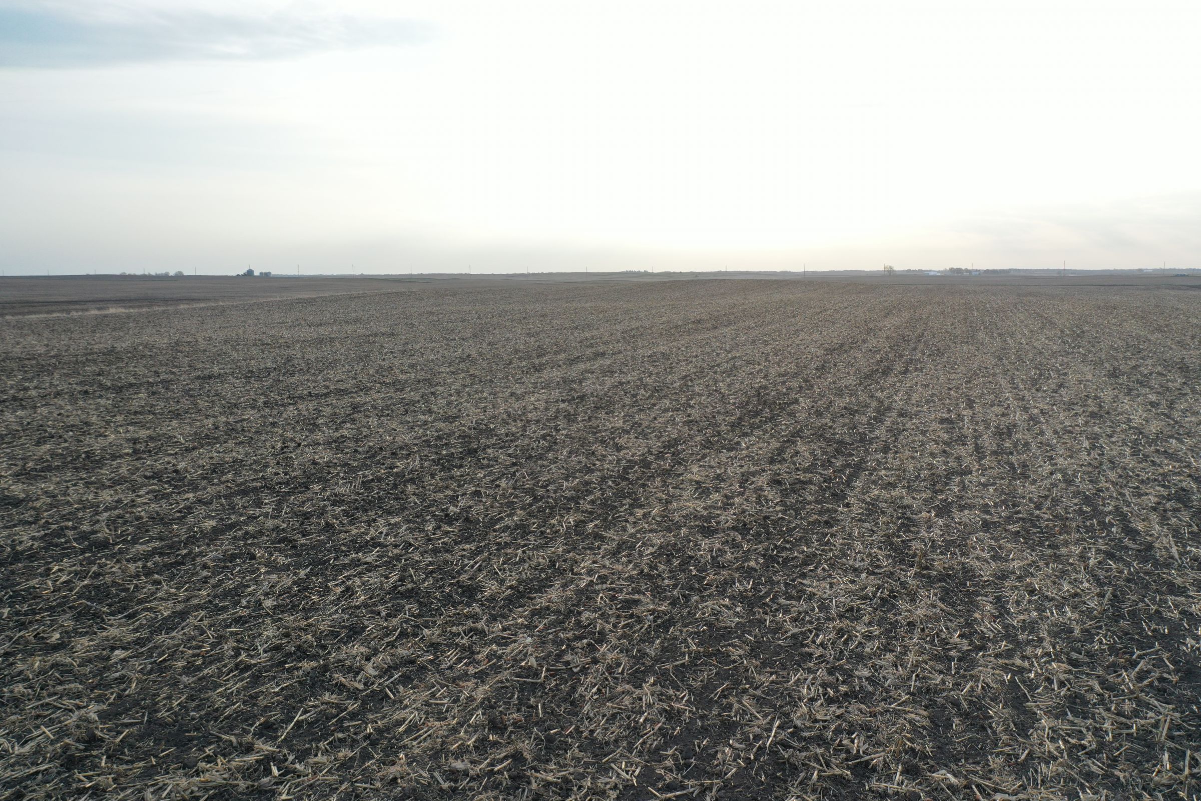 Boone County Iowa Farmland For Sale