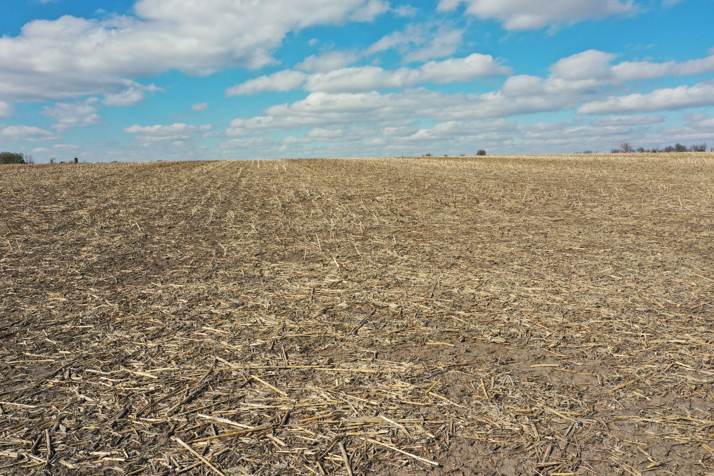 floyd-county-iowa-80-acres-listing-number-15485-3-2021-04-25-212714.JPG