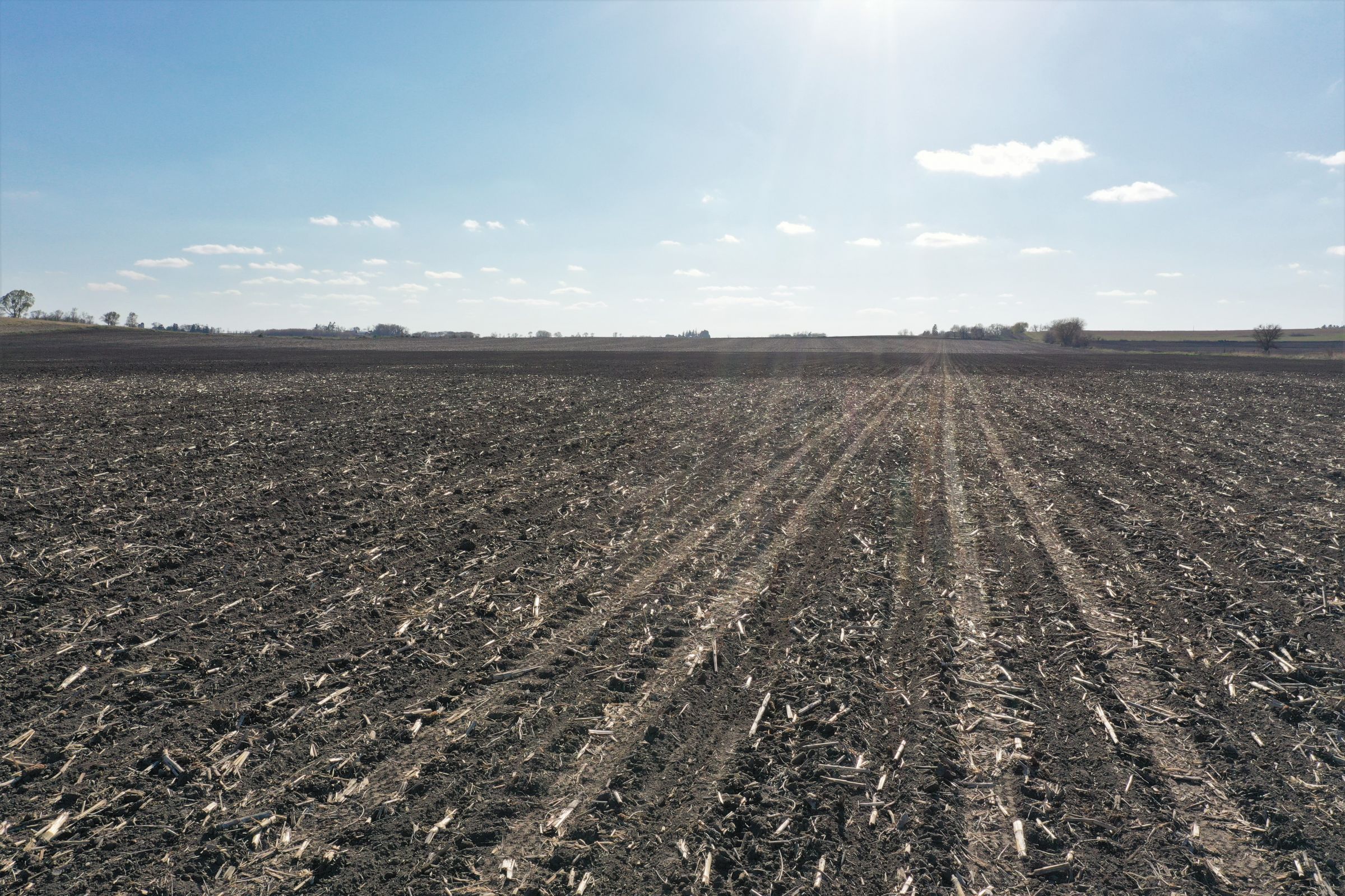 floyd-county-iowa-80-acres-listing-number-15487-3-2021-04-26-011847.JPG