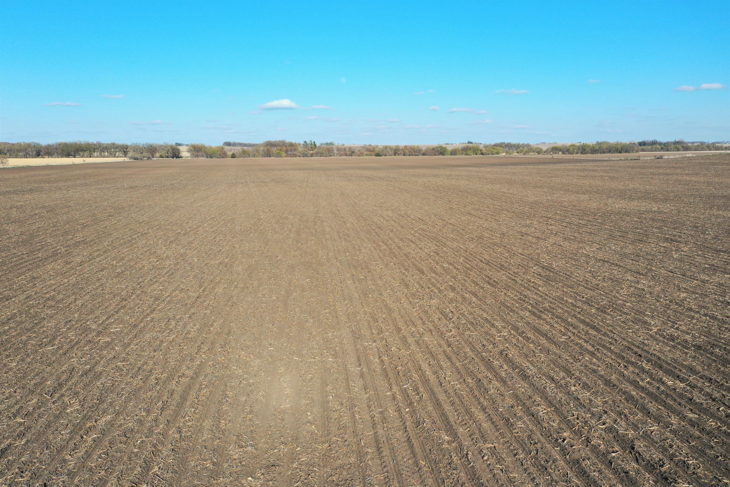 floyd-county-iowa-80-acres-listing-number-15487-4-2021-04-26-011849.JPG