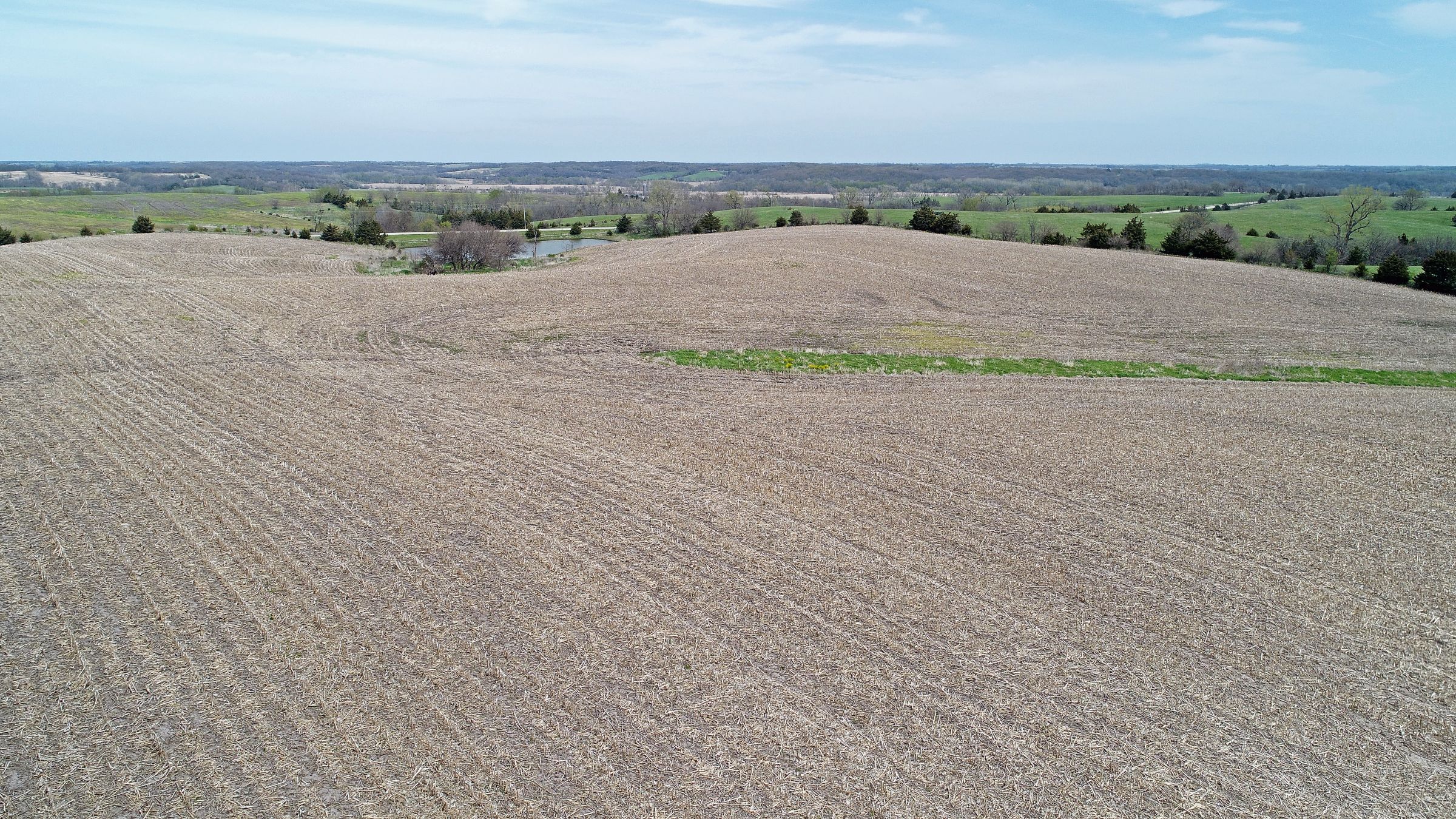 land-decatur-county-iowa-39-acres-listing-number-15495-0-2021-04-27-215247.JPG