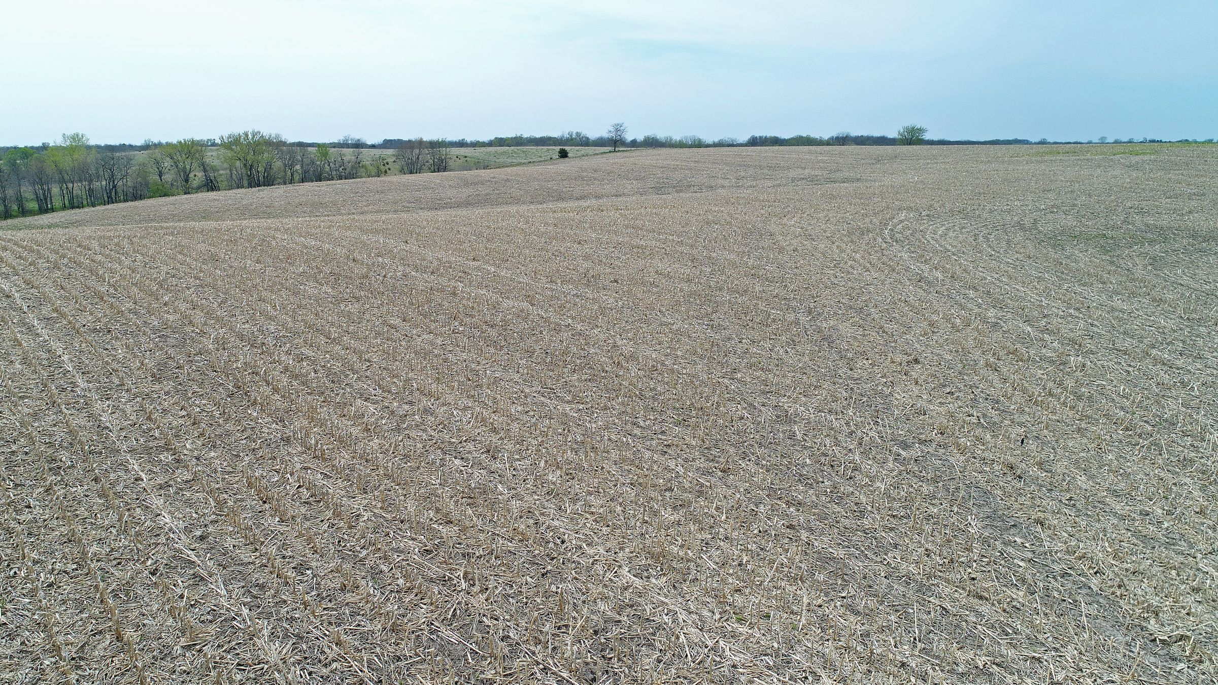 land-decatur-county-iowa-39-acres-listing-number-15495-0-2021-04-27-215419.JPG