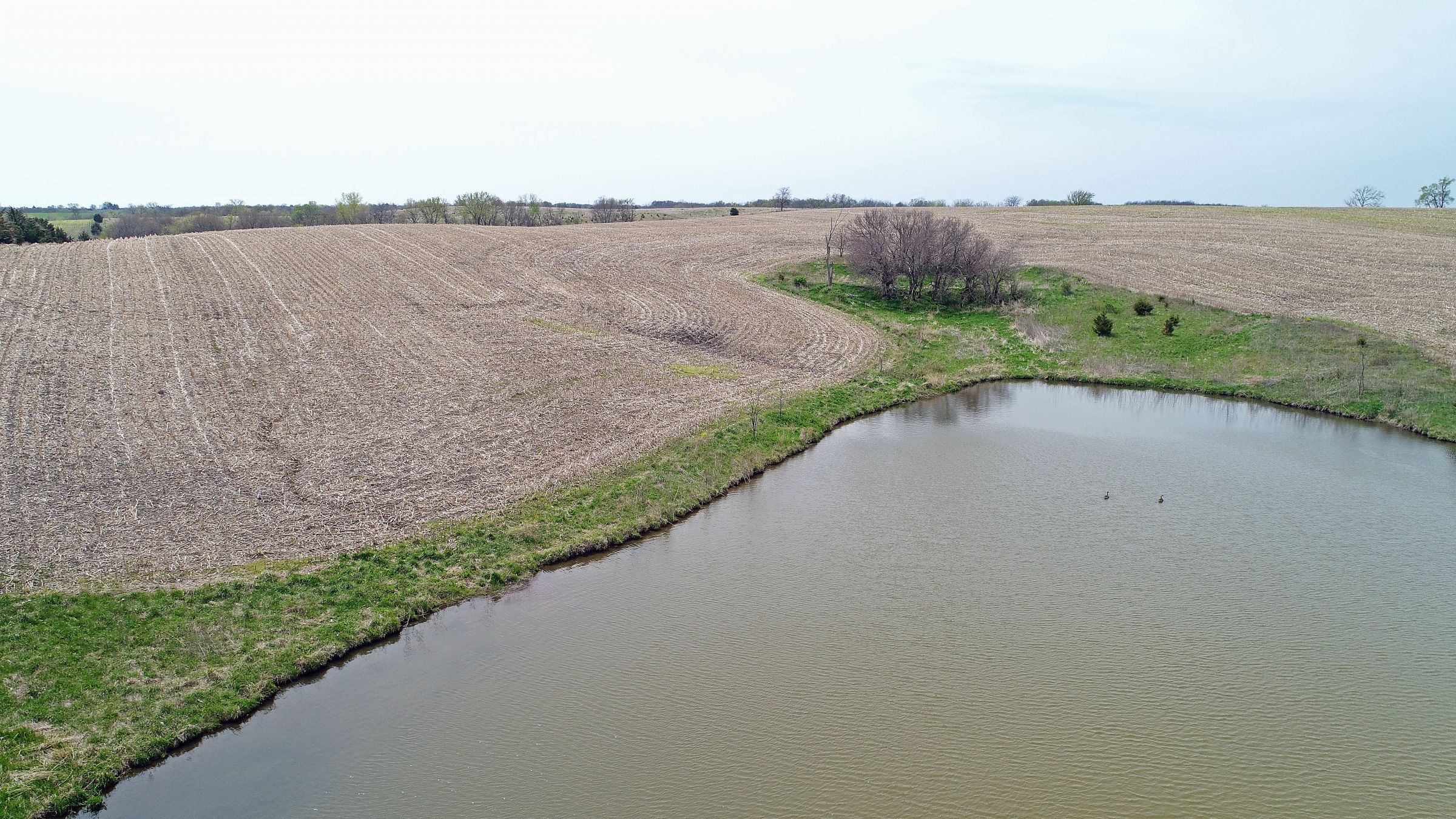 land-decatur-county-iowa-39-acres-listing-number-15495-1-2021-04-27-215249.JPG