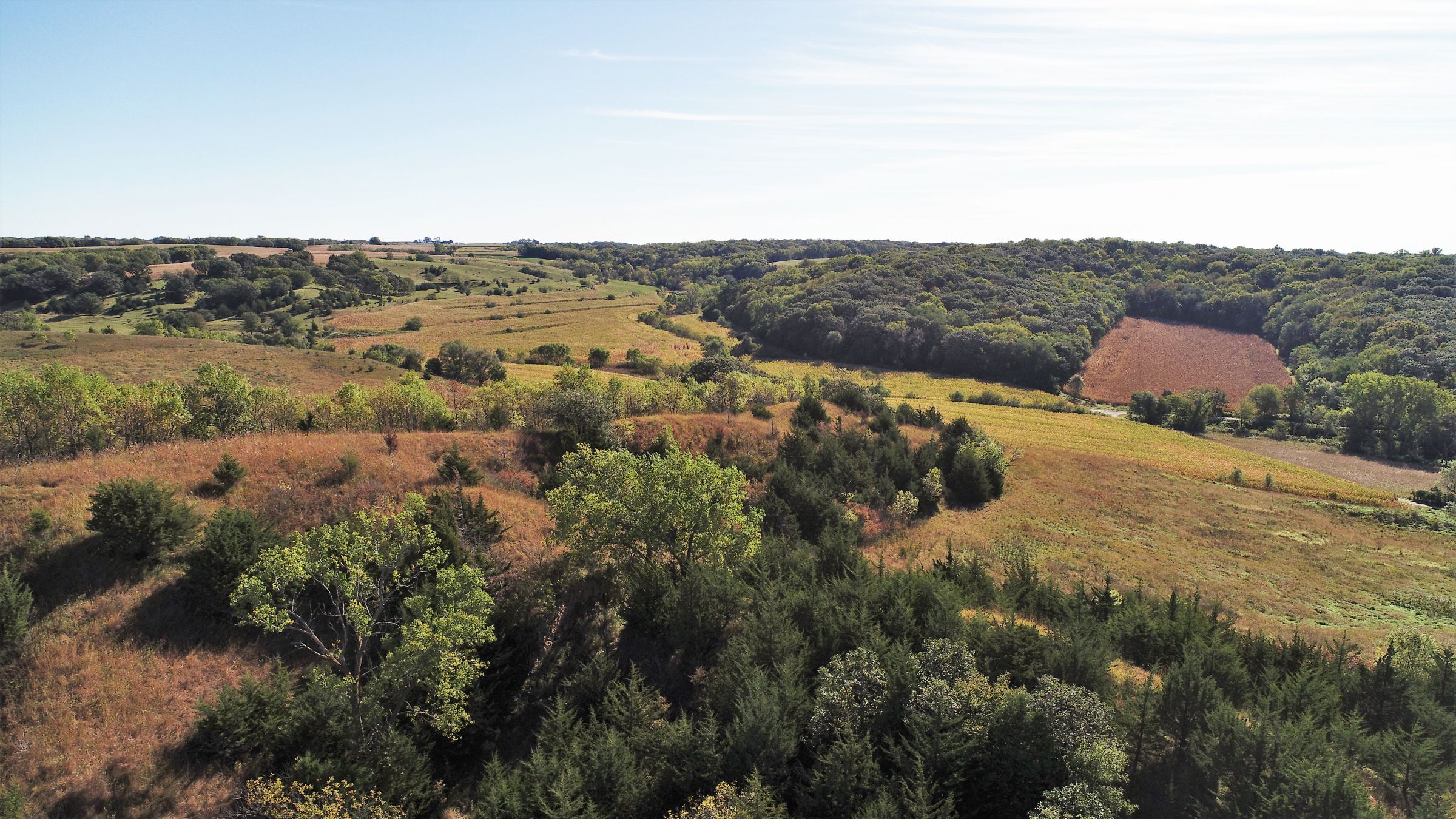 land-harrison-county-iowa-59-acres-listing-number-15527-0-2021-05-21-212625.JPG