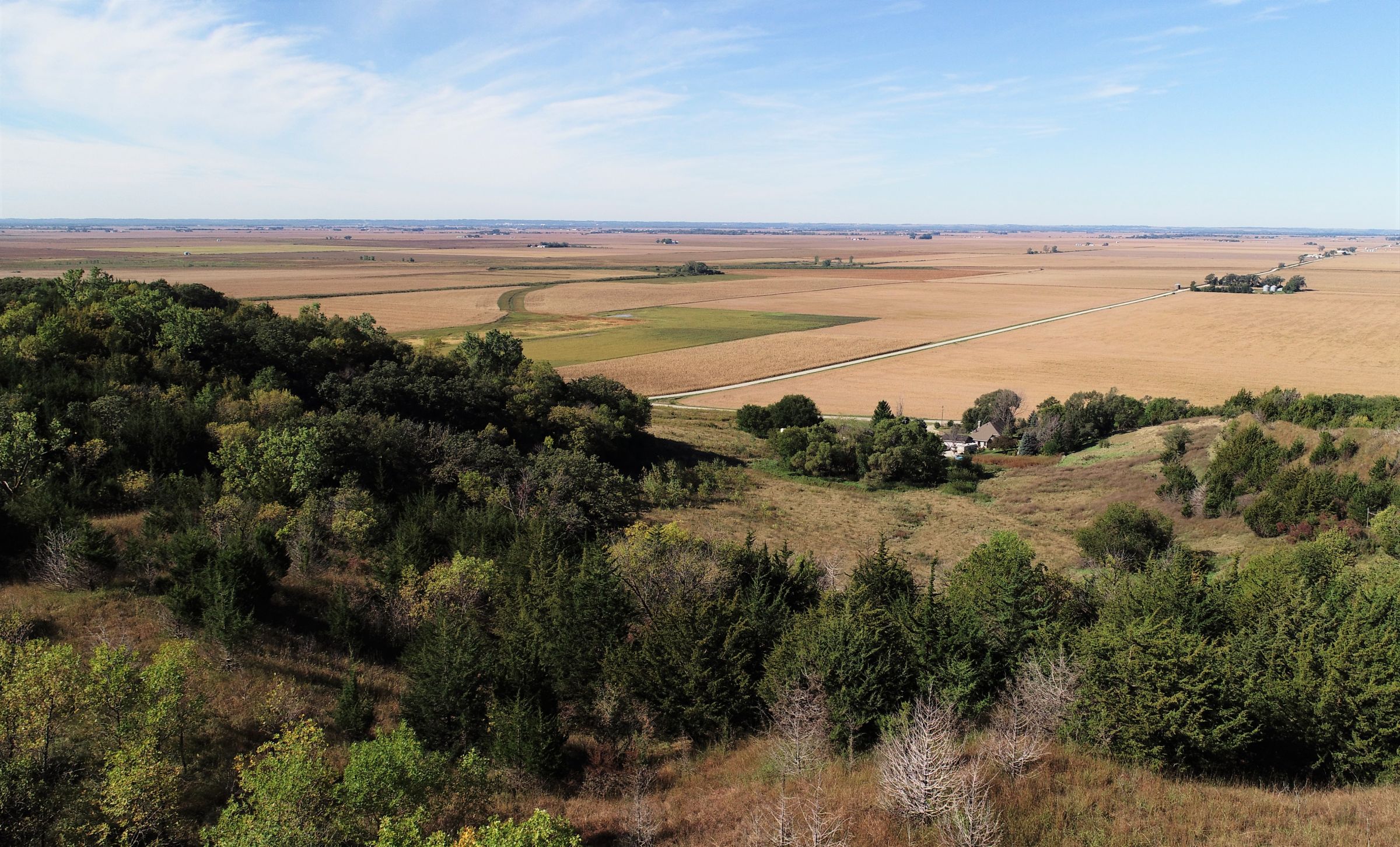 land-harrison-county-iowa-59-acres-listing-number-15527-1-2021-05-21-212626.JPG