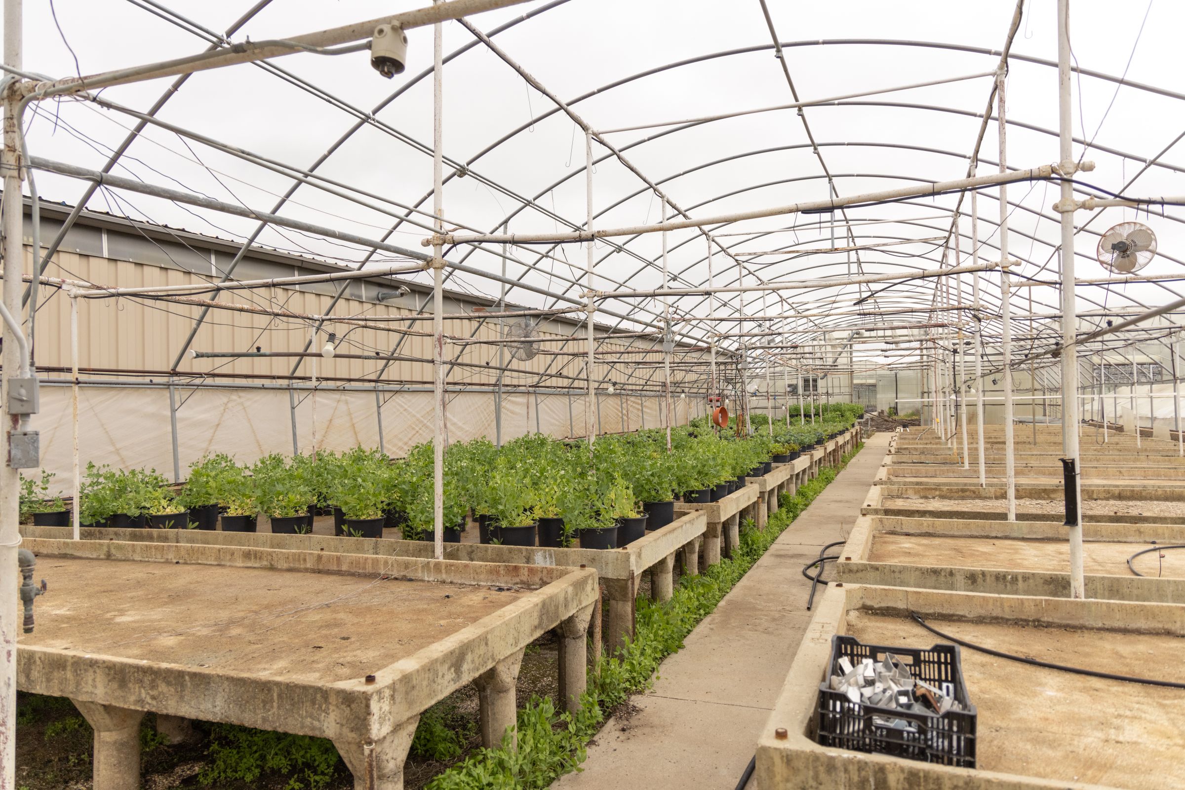 Boone County Iowa Greenhouse Complex Auction