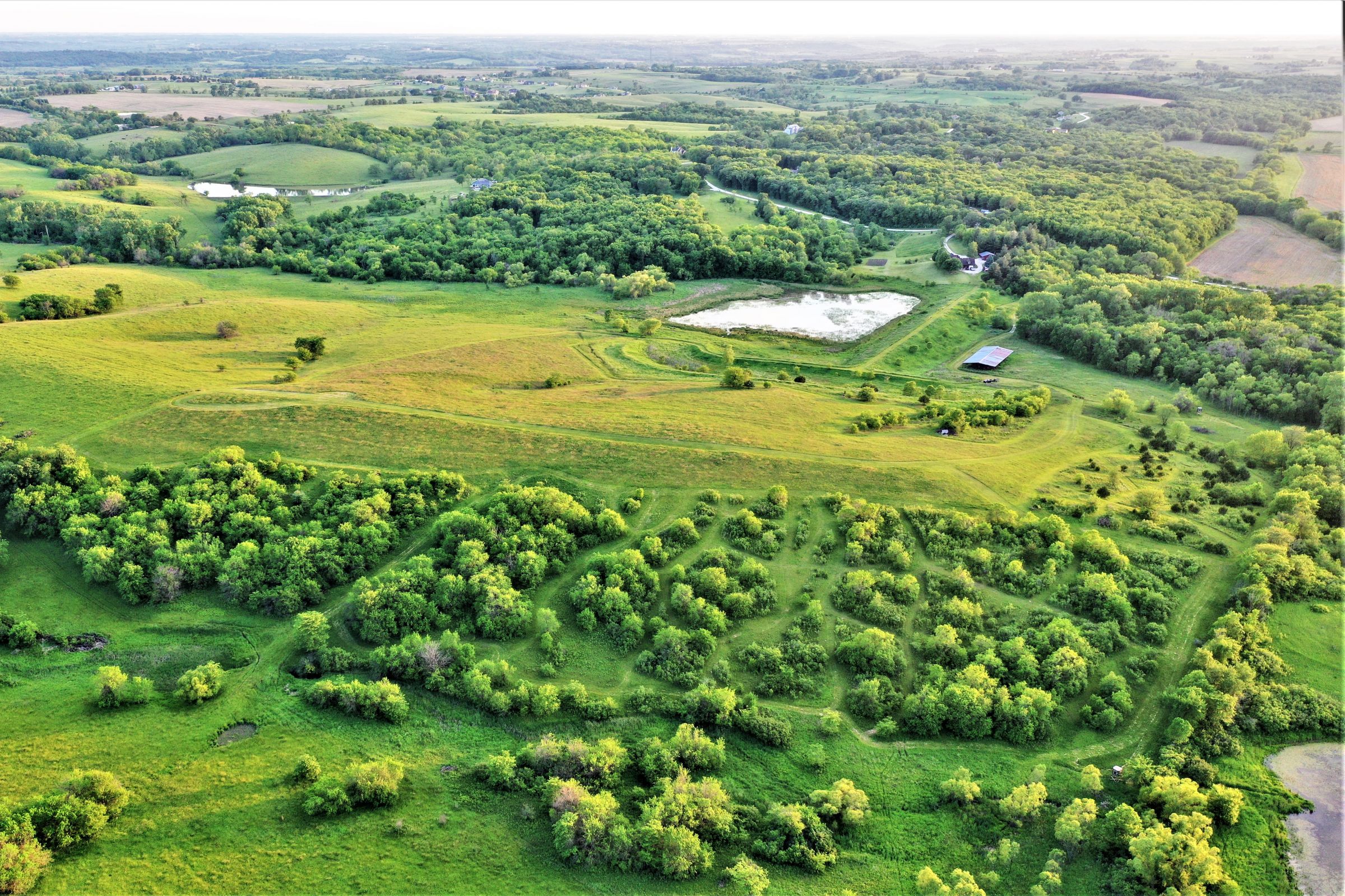 land-madison-county-iowa-71-acres-listing-number-15542-10-2021-08-05-185038.jpg