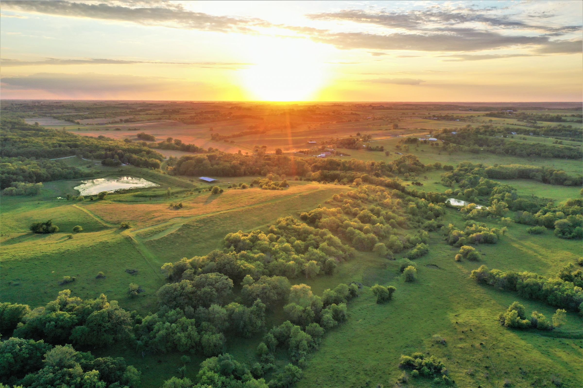 land-madison-county-iowa-71-acres-listing-number-15542-12-2021-08-05-185041.jpg