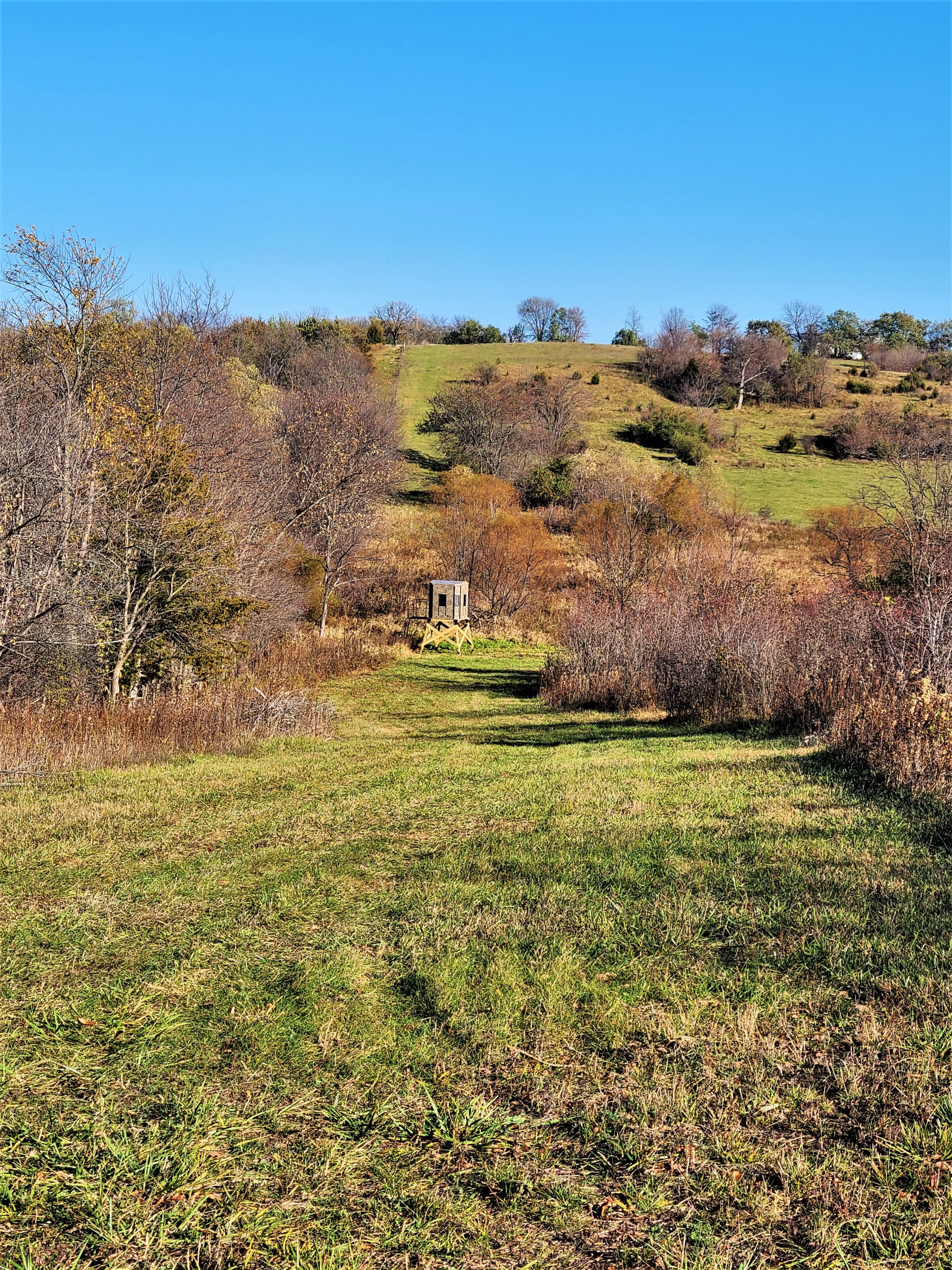 land-madison-county-iowa-71-acres-listing-number-15542-6-2021-08-05-185032.jpg