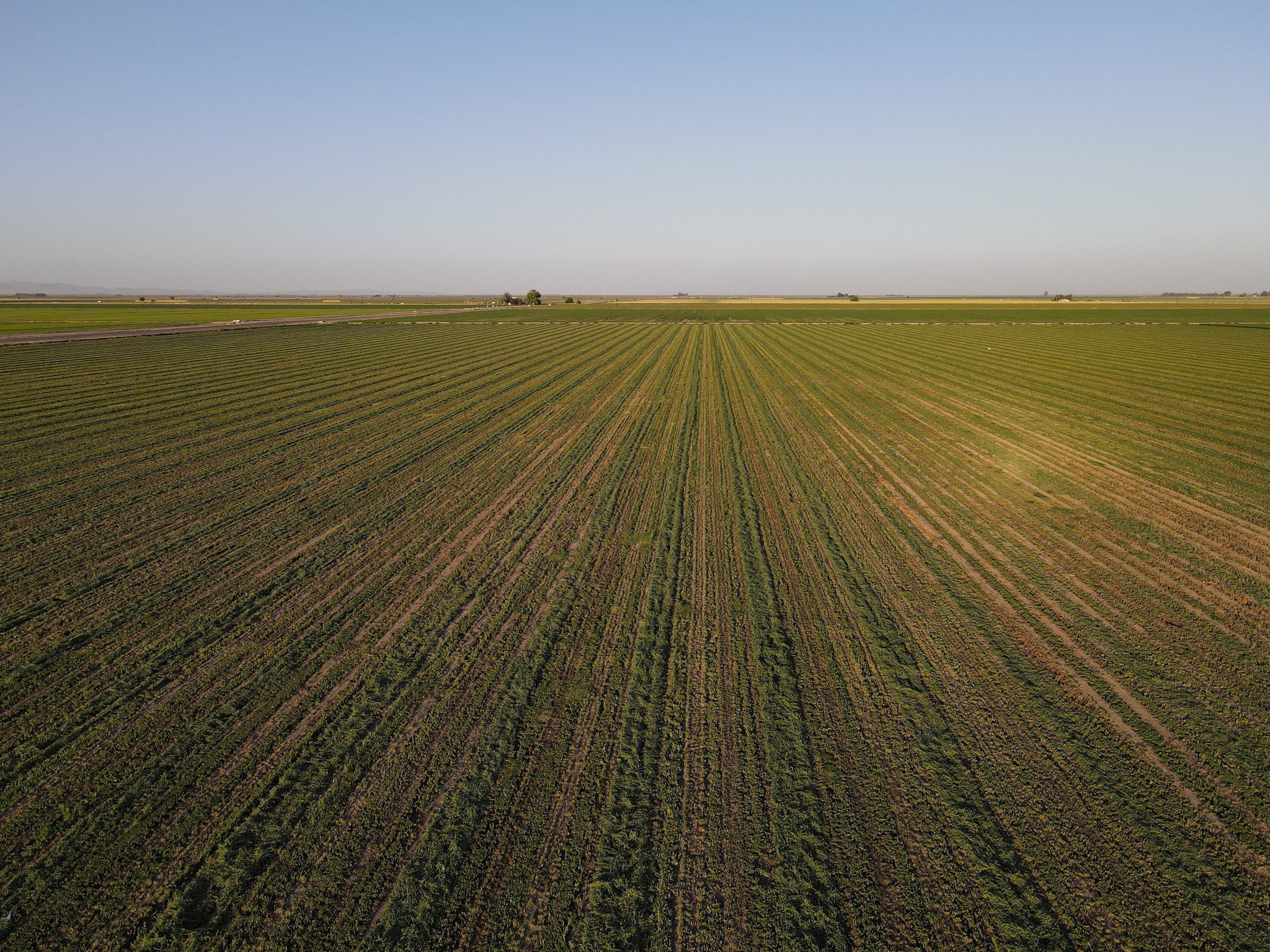 land-imperial-county-california-159-acres-listing-number-15554-DJI_0426-0.jpg
