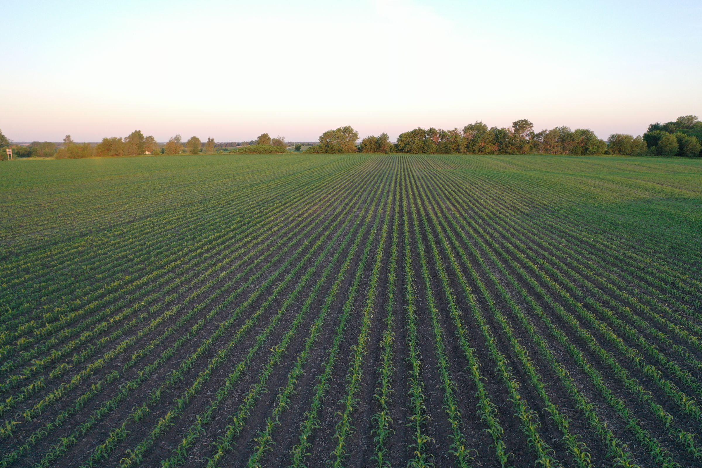 Marion County Iowa Farmland For Sale Auction