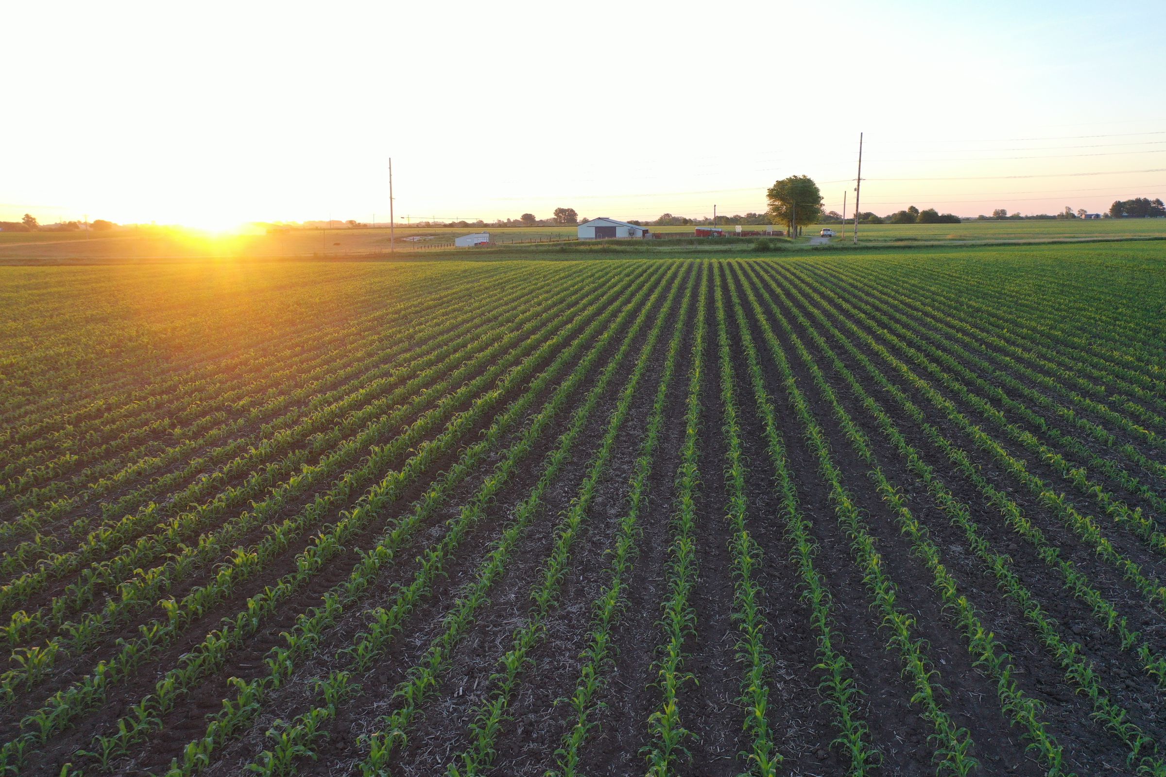 Marion County Iowa Farmland For Sale Auction