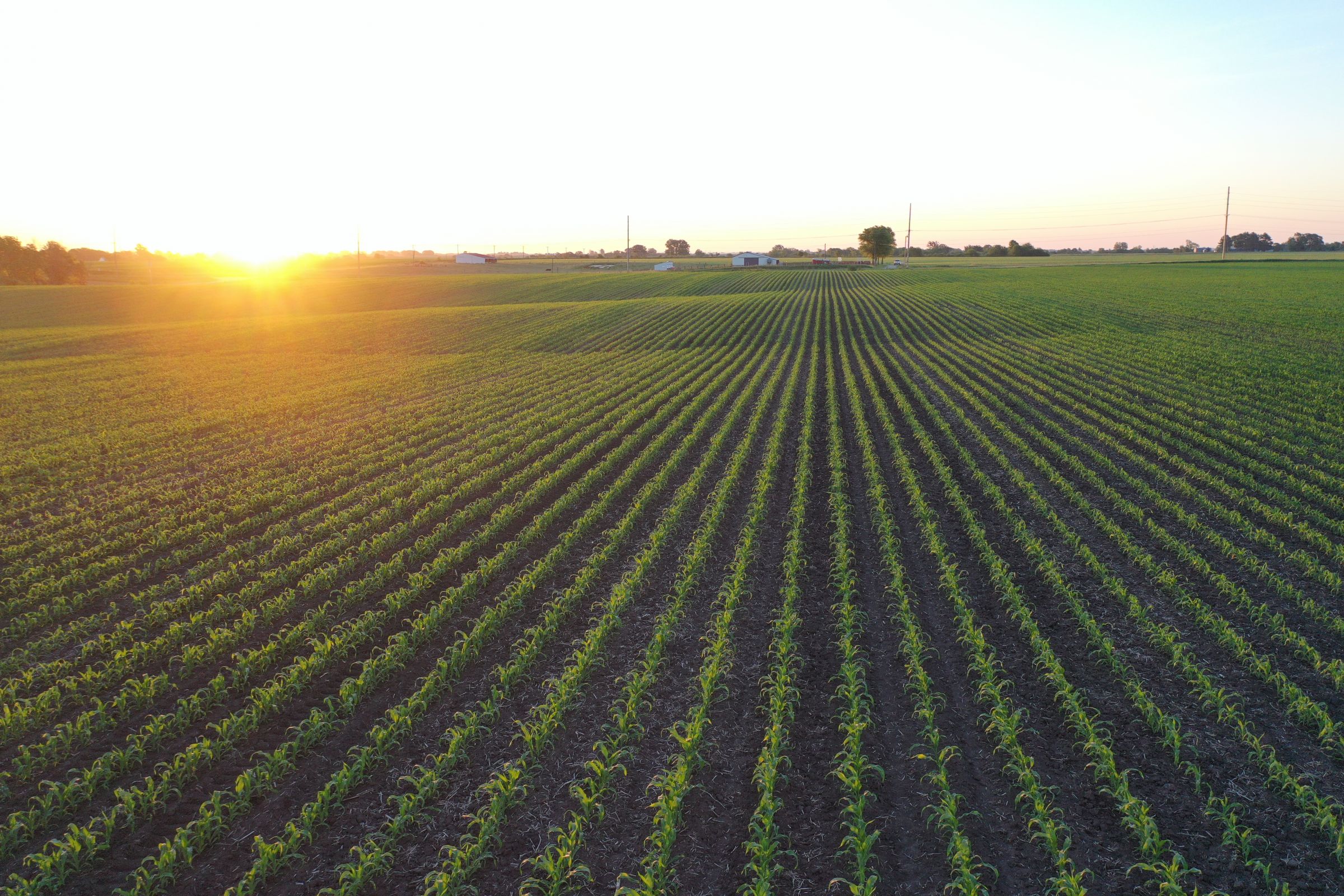 Marion County Iowa Farmland For Sale Auction