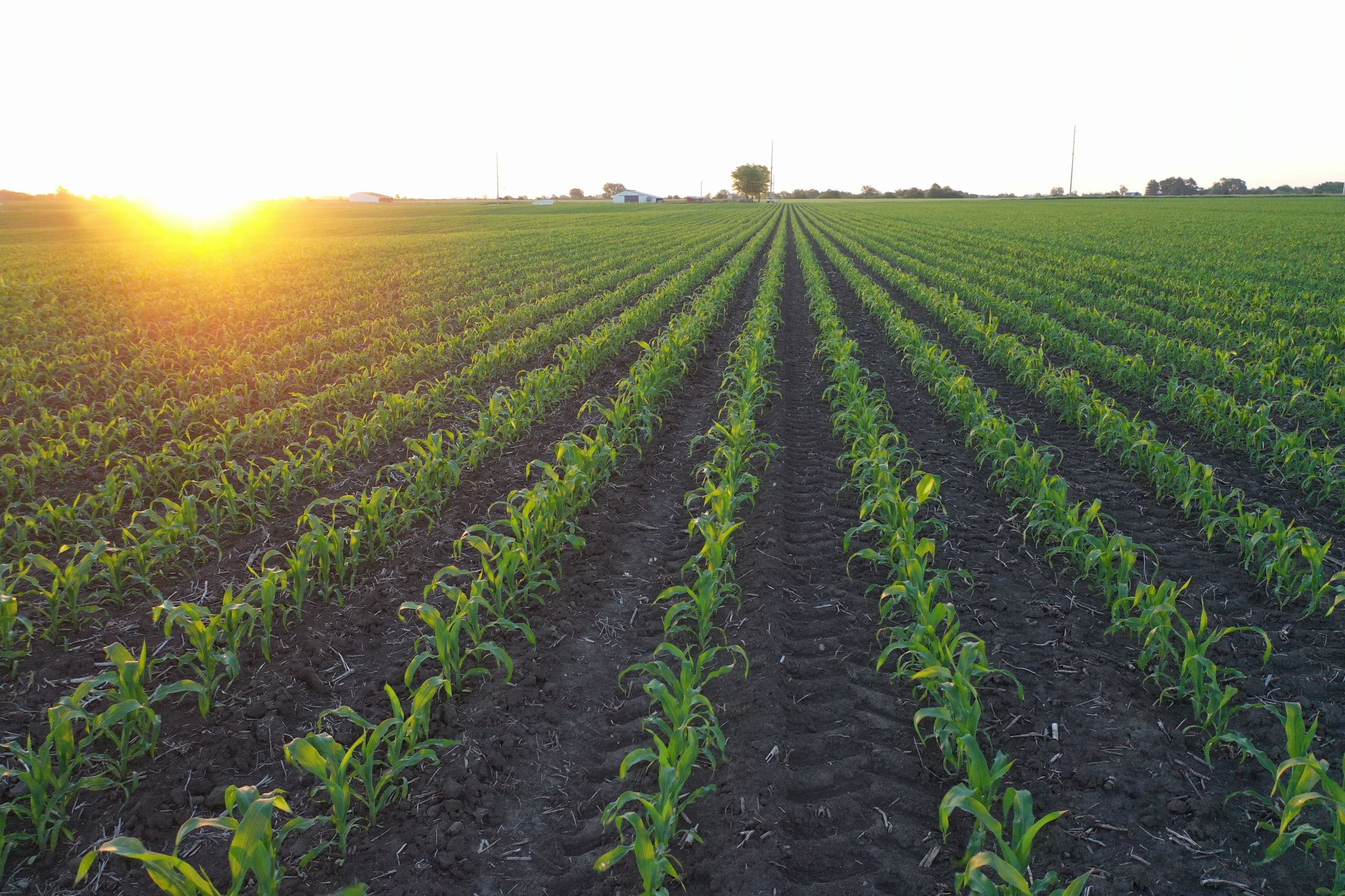 Marion County Iowa Farmland For Sale Auction