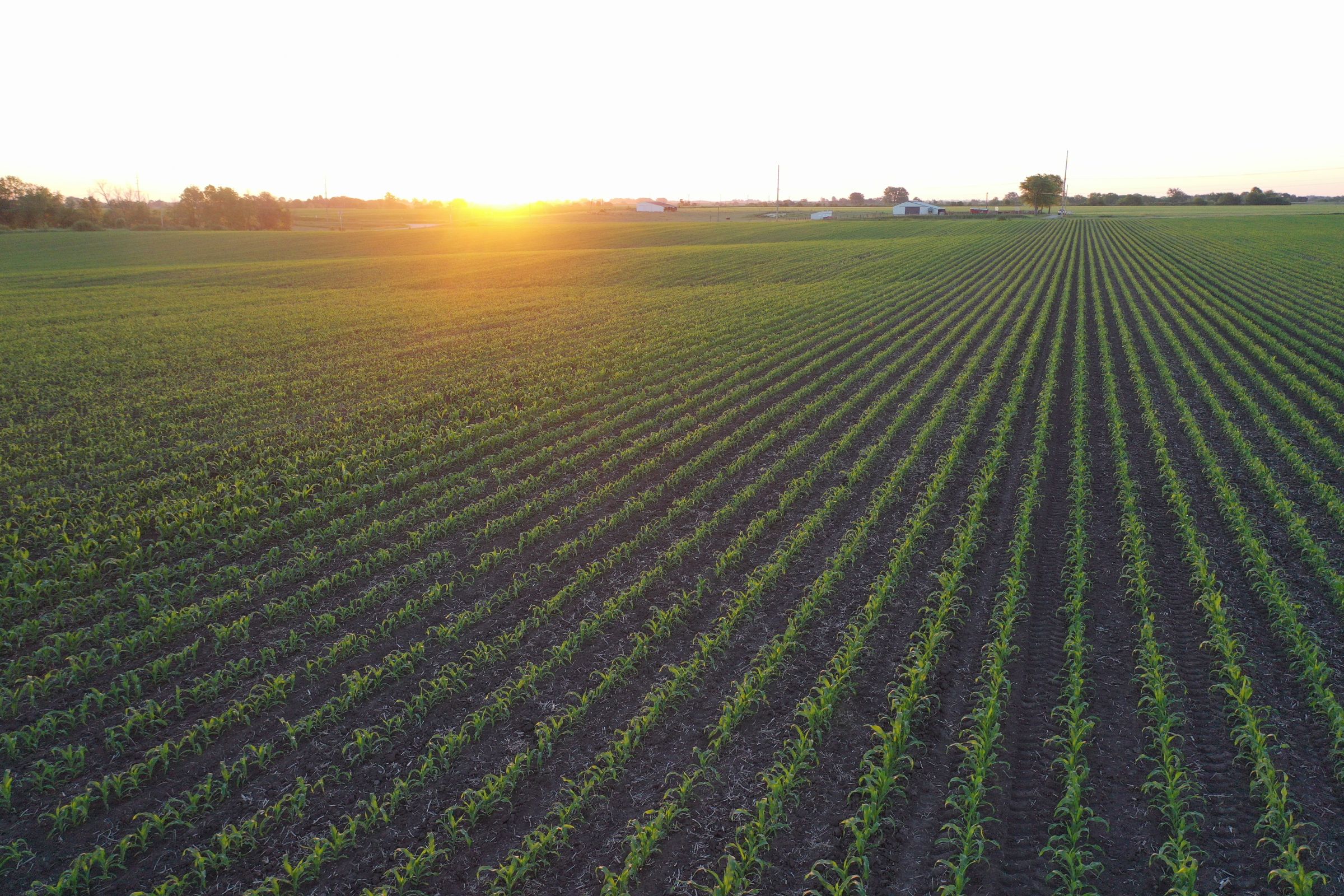 Marion County Iowa Farmland For Sale Auction