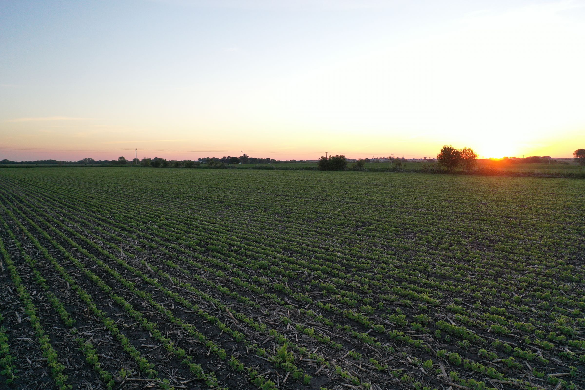 Marion County Iowa Farmland For Sale Auction