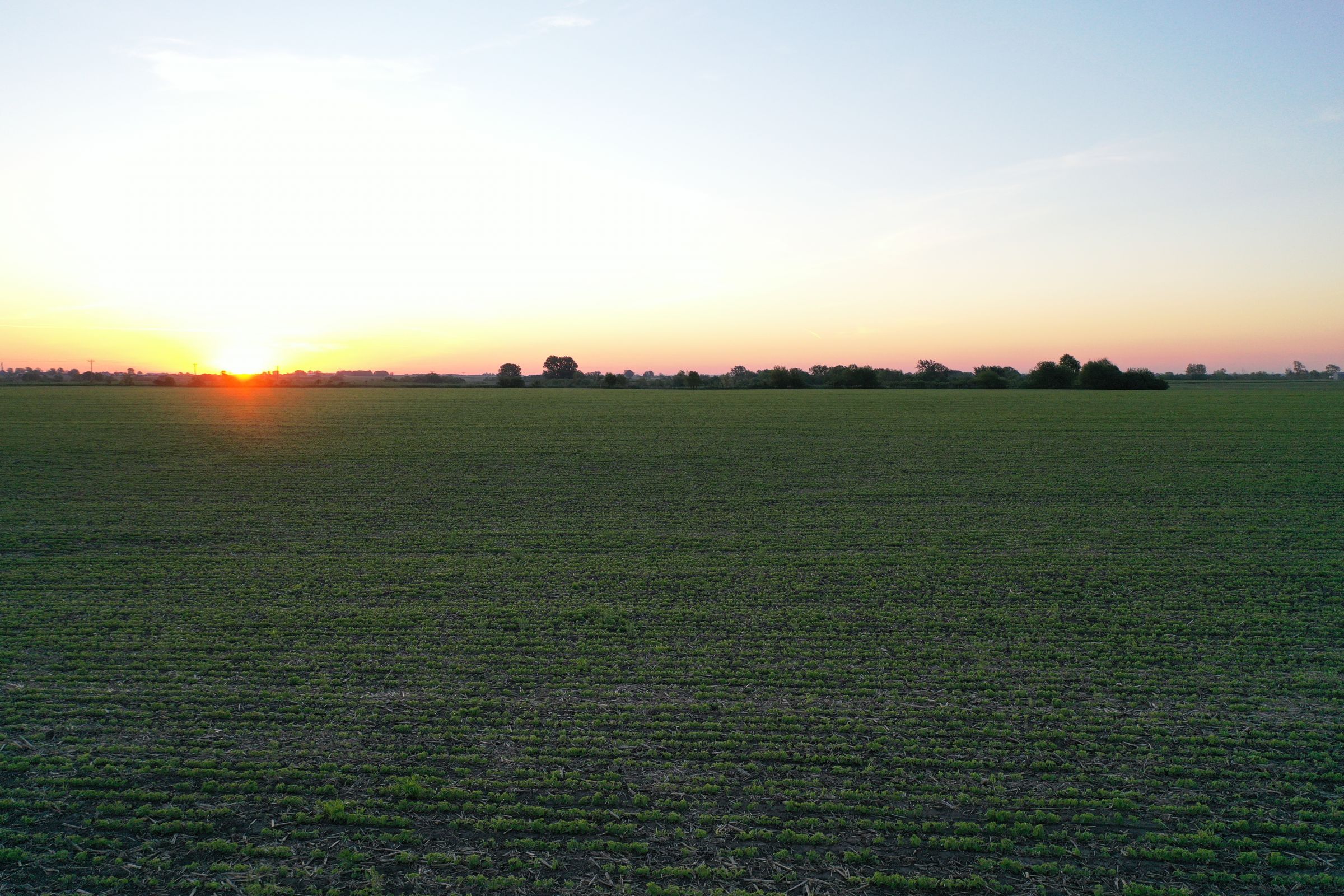 Marion County Iowa Farmland For Sale Auction