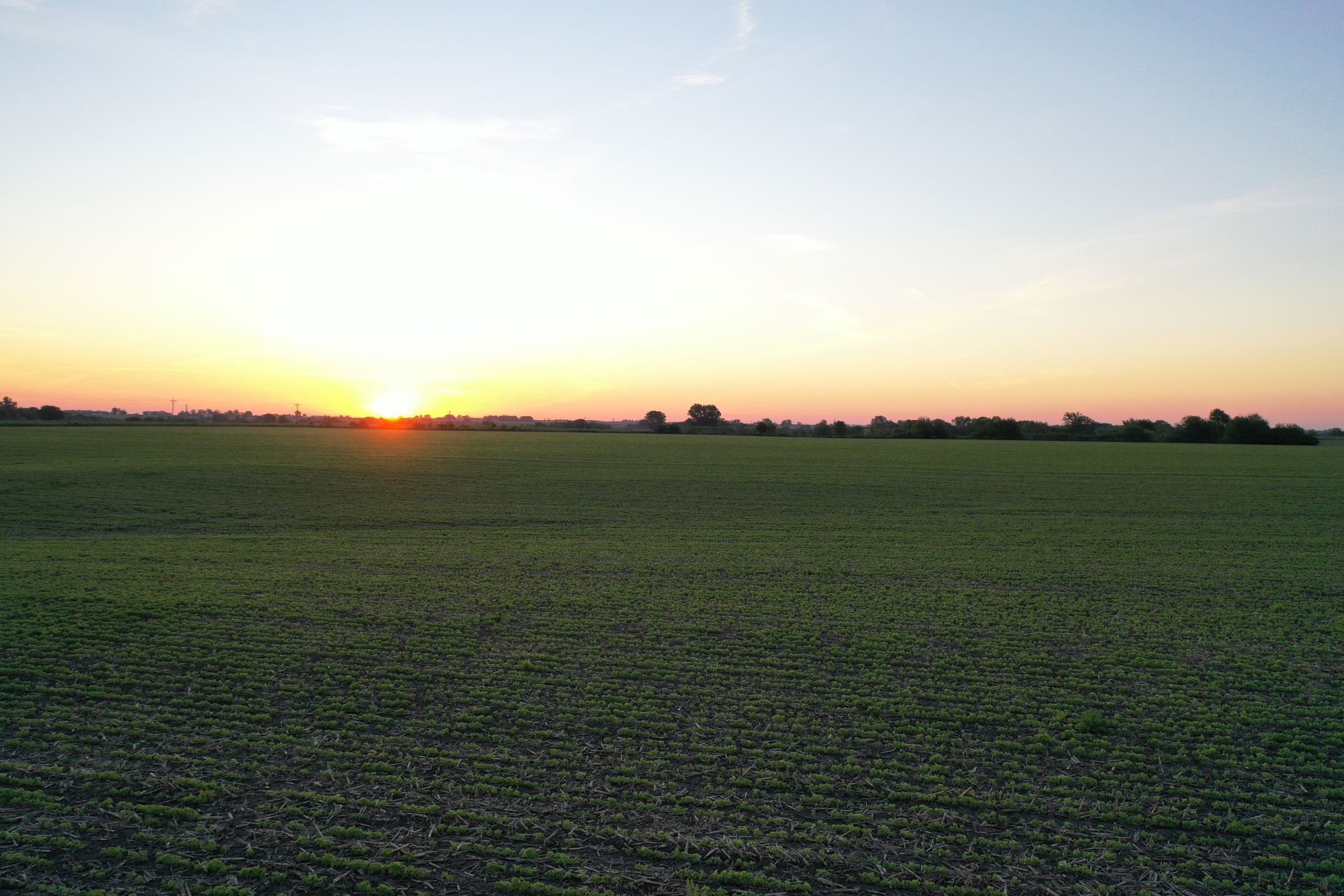 Marion County Iowa Farmland For Sale Auction