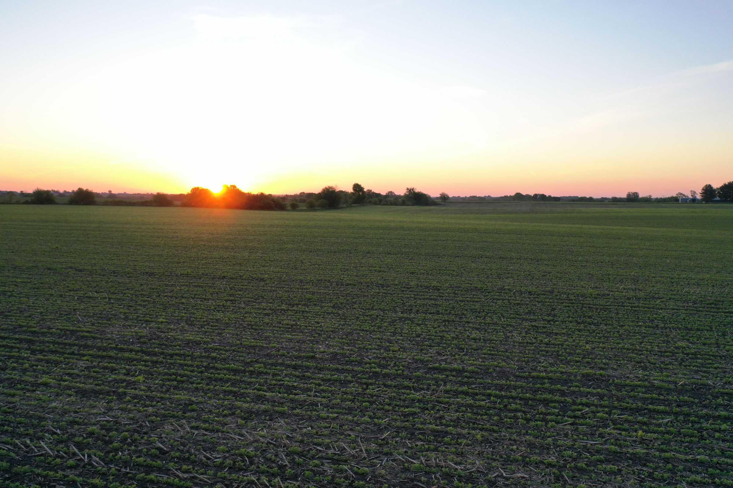 Marion County Iowa Farmland For Sale Auction