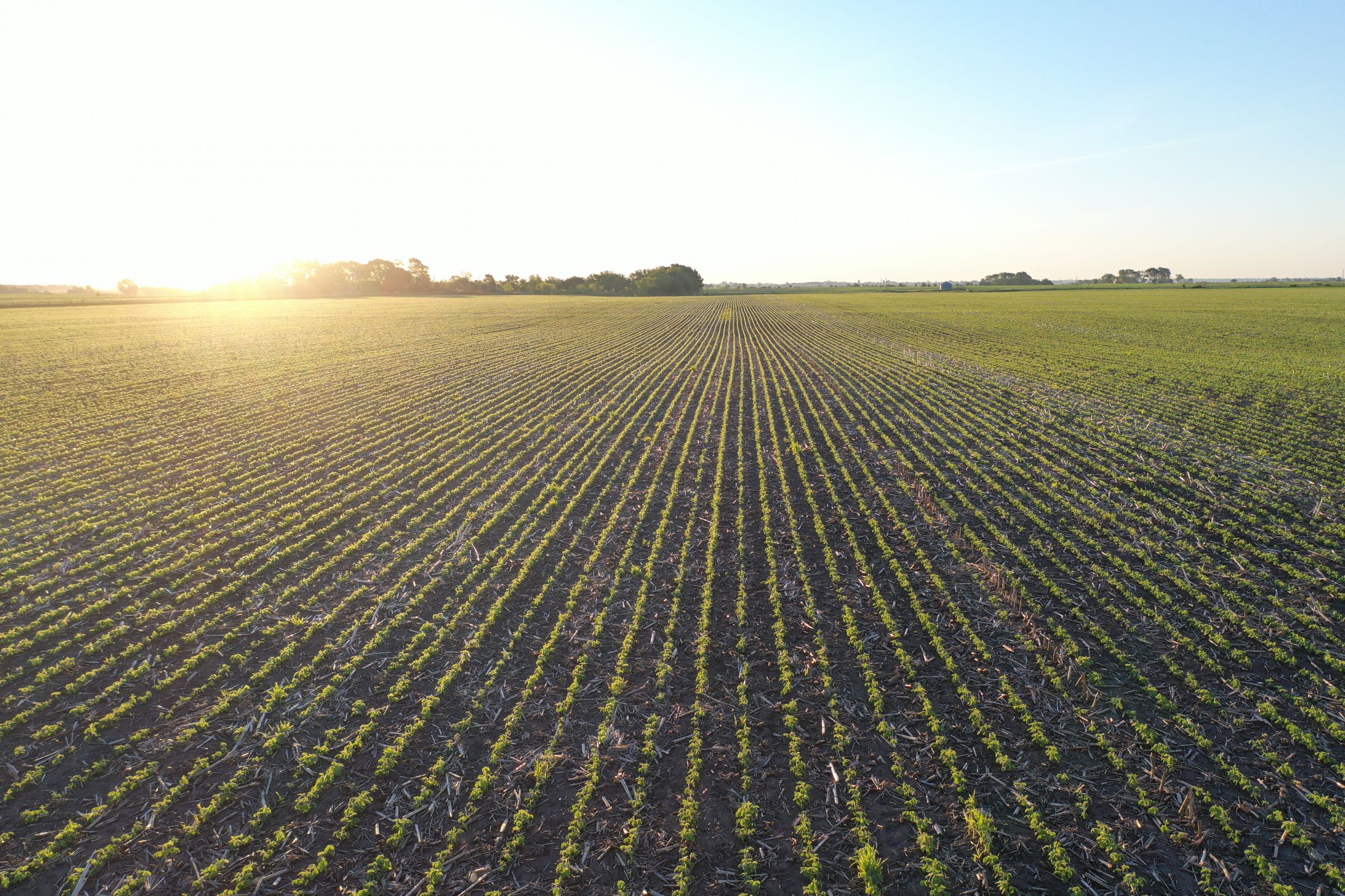 Marion County Iowa Farmland For Sale Auction