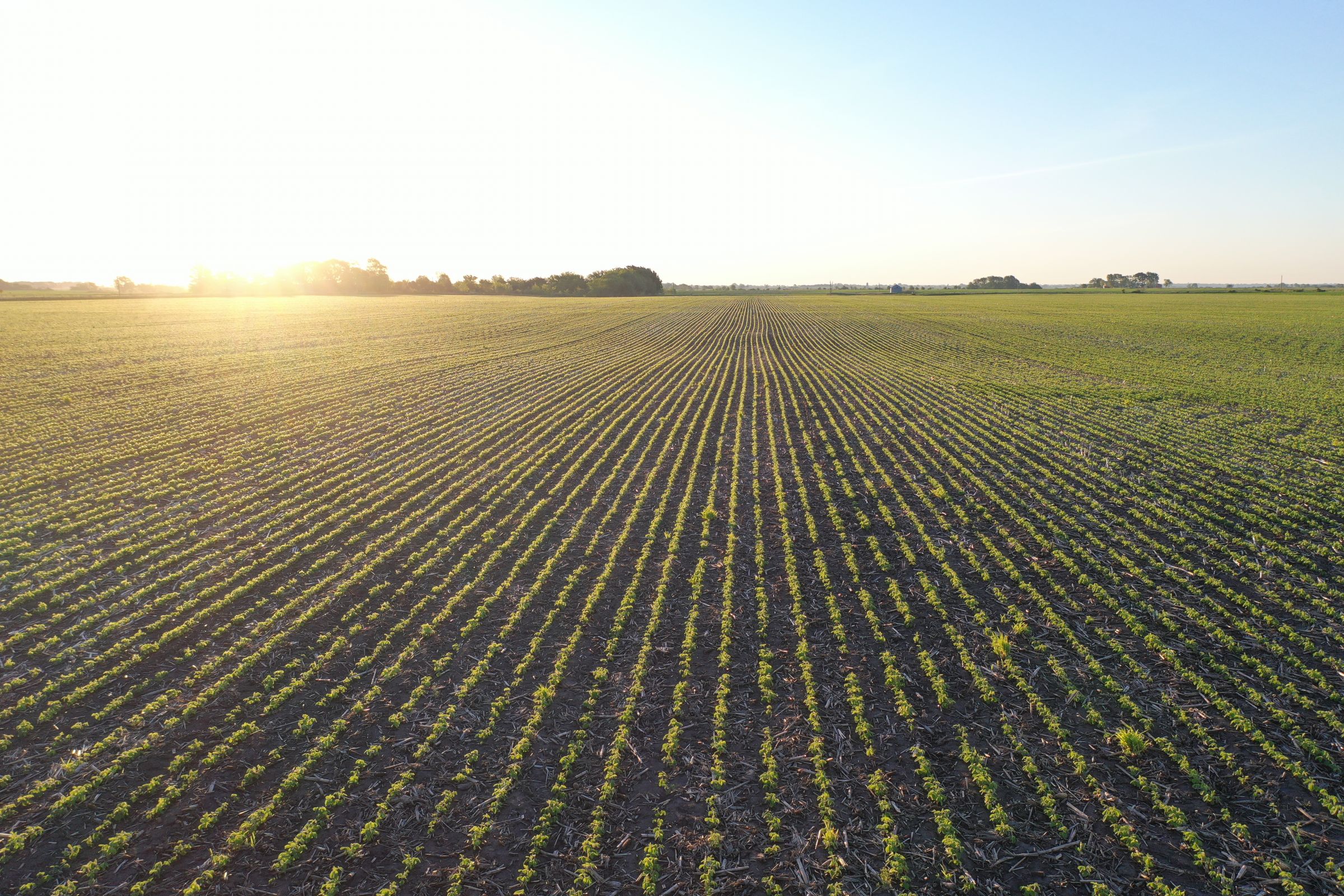 Marion County Iowa Farmland For Sale Auction