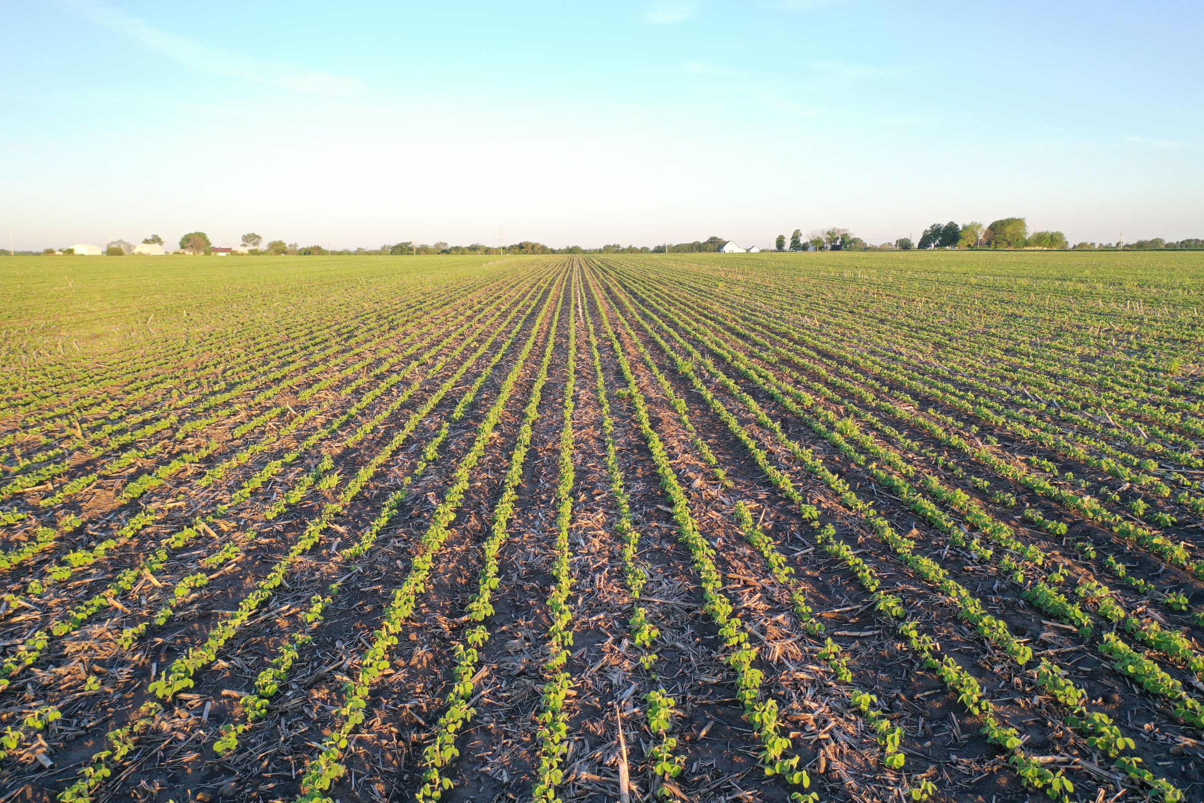 Marion County Iowa Farmland For Sale Auction