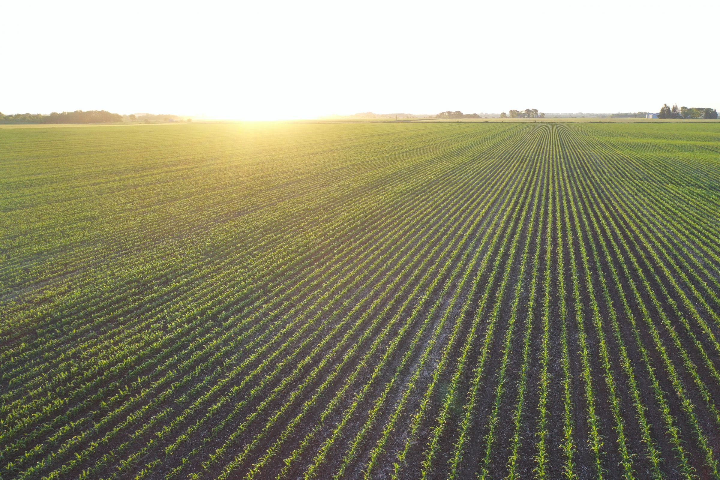 Marion County Iowa Farmland For Sale Auction