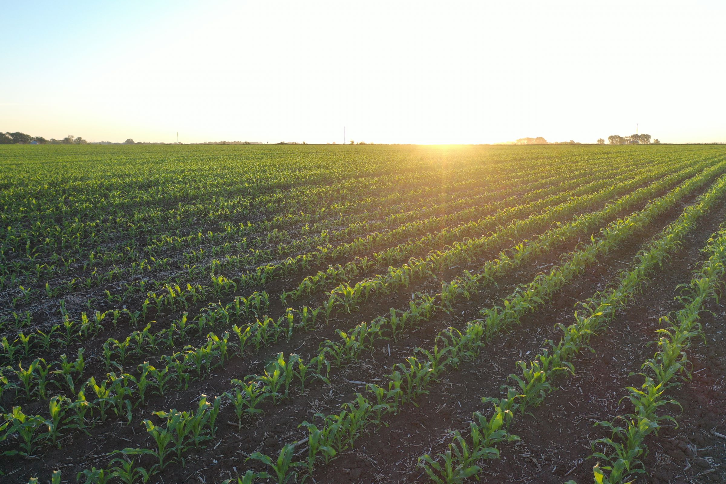 Marion County Iowa Farmland For Sale Auction