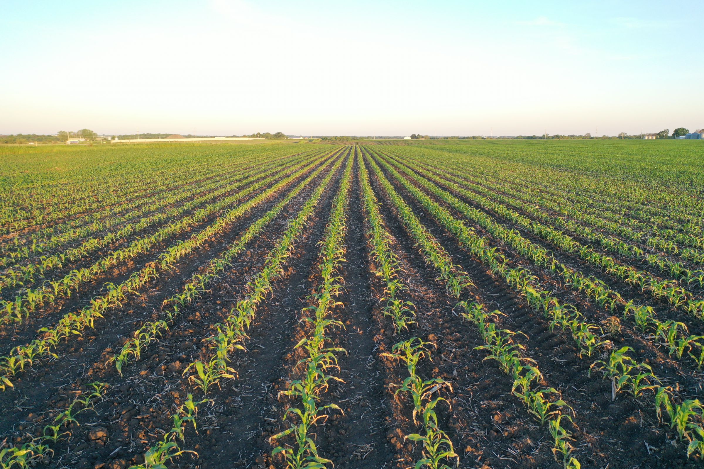 Marion County Iowa Farmland For Sale Auction