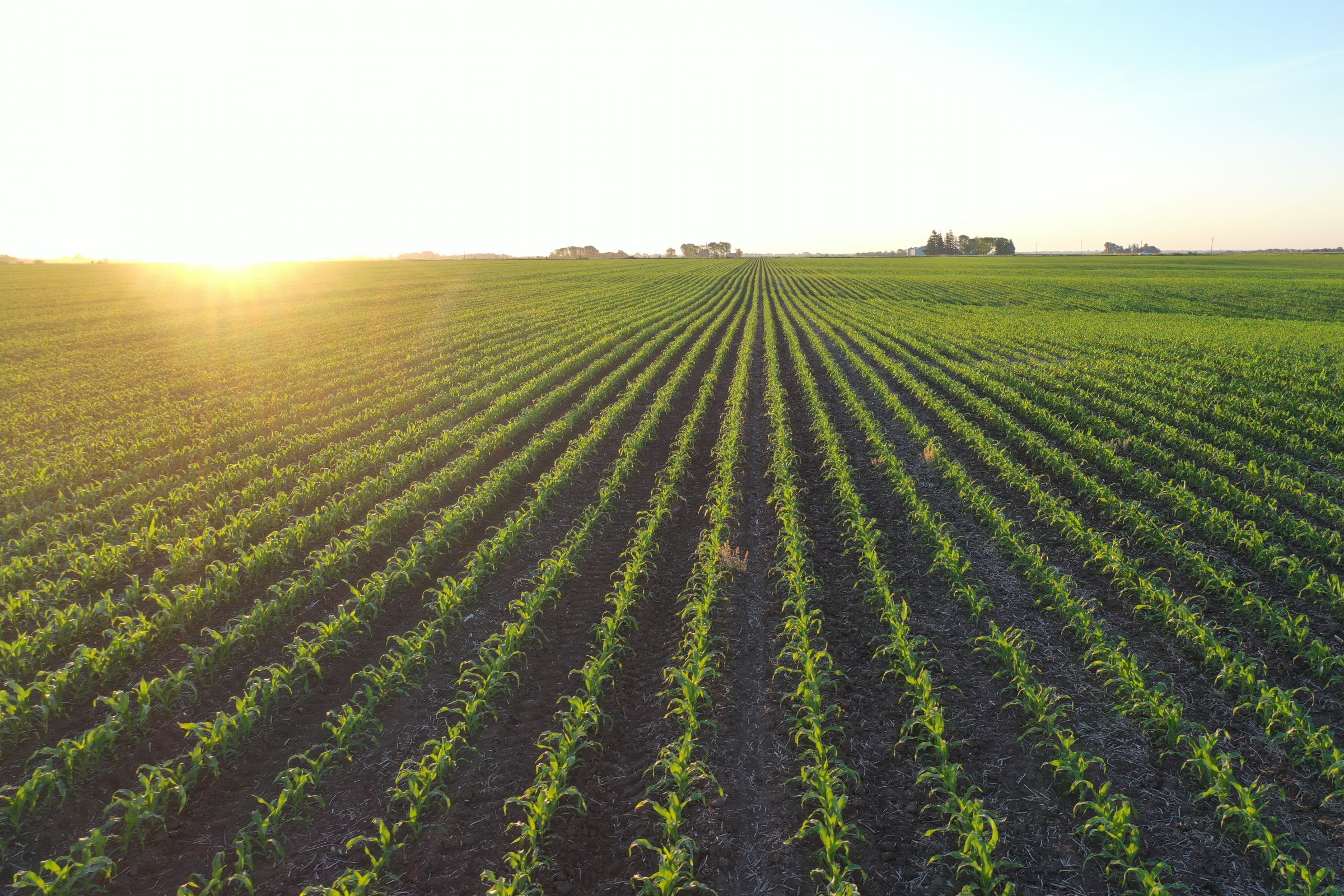 Marion County Iowa Farmland For Sale Auction