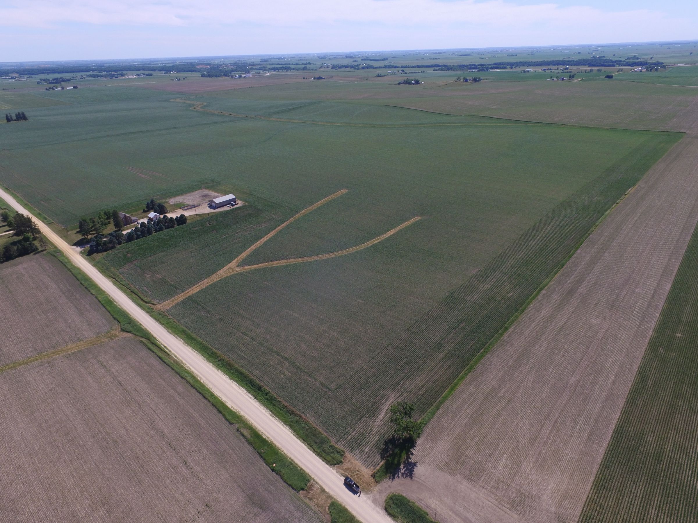 auctions-clinton-county-iowa-311-acres-listing-number-15569-0-2021-06-15-165726.JPG