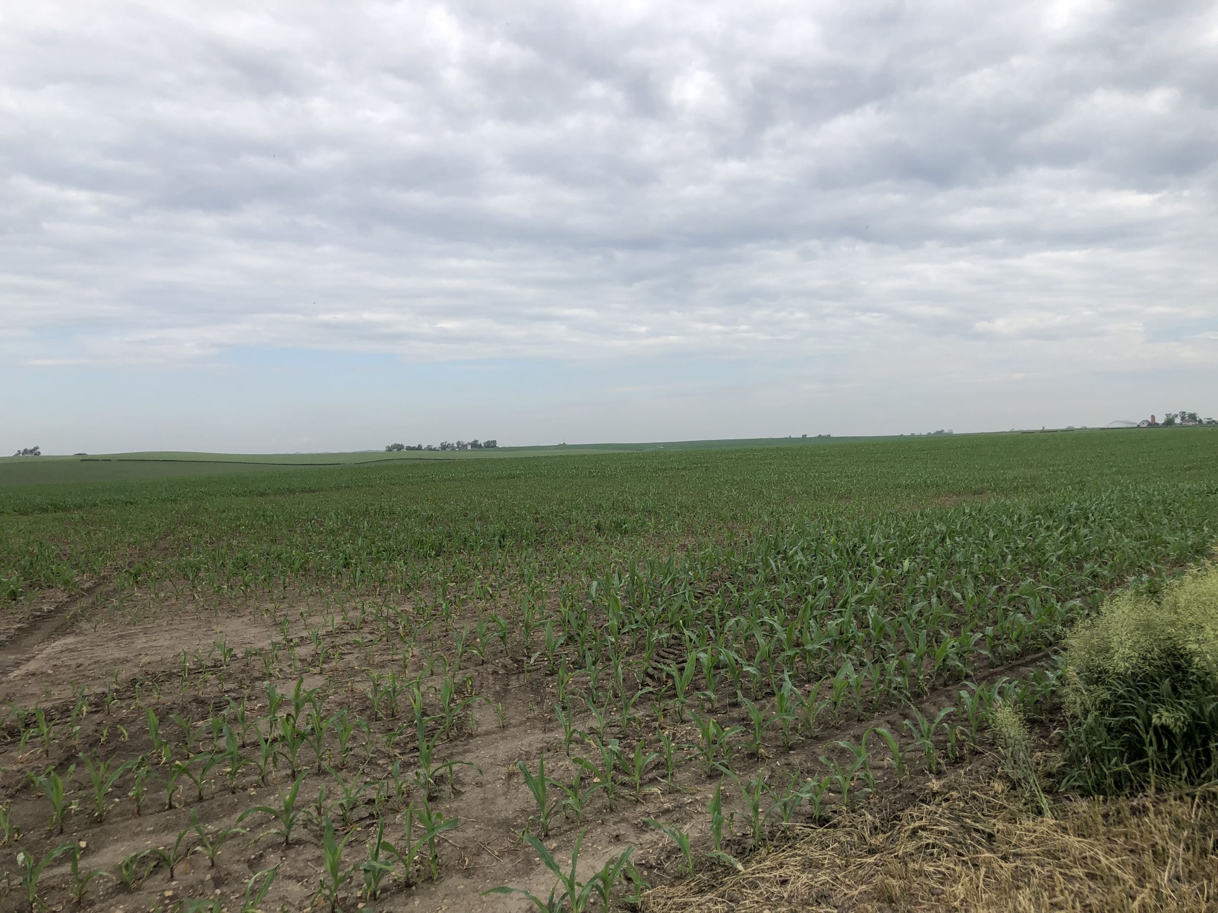 iowa-0-acres-listing-number-15569-1-2021-06-08-144650.jpg