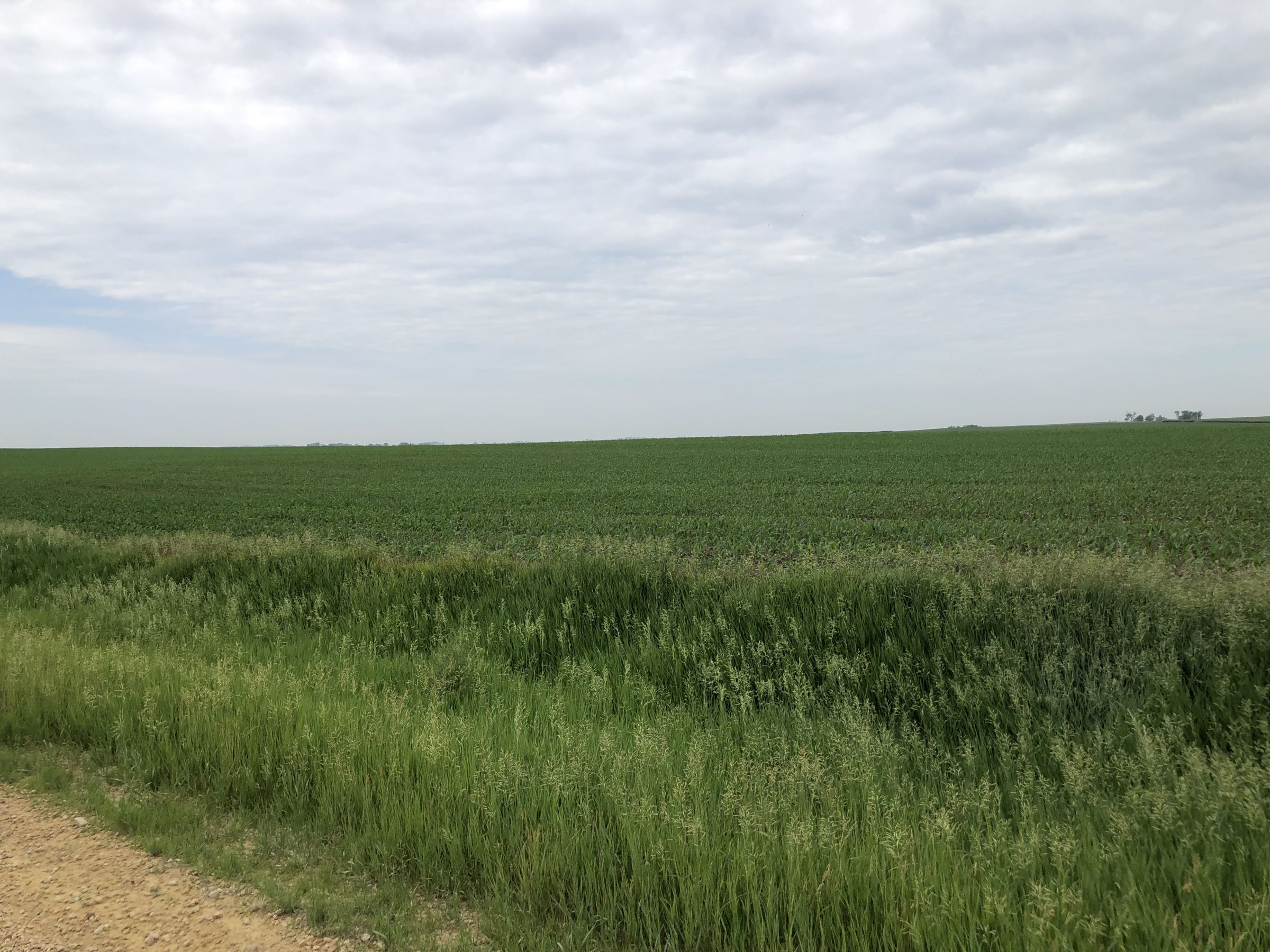 iowa-0-acres-listing-number-15569-4-2021-06-08-144654.jpg