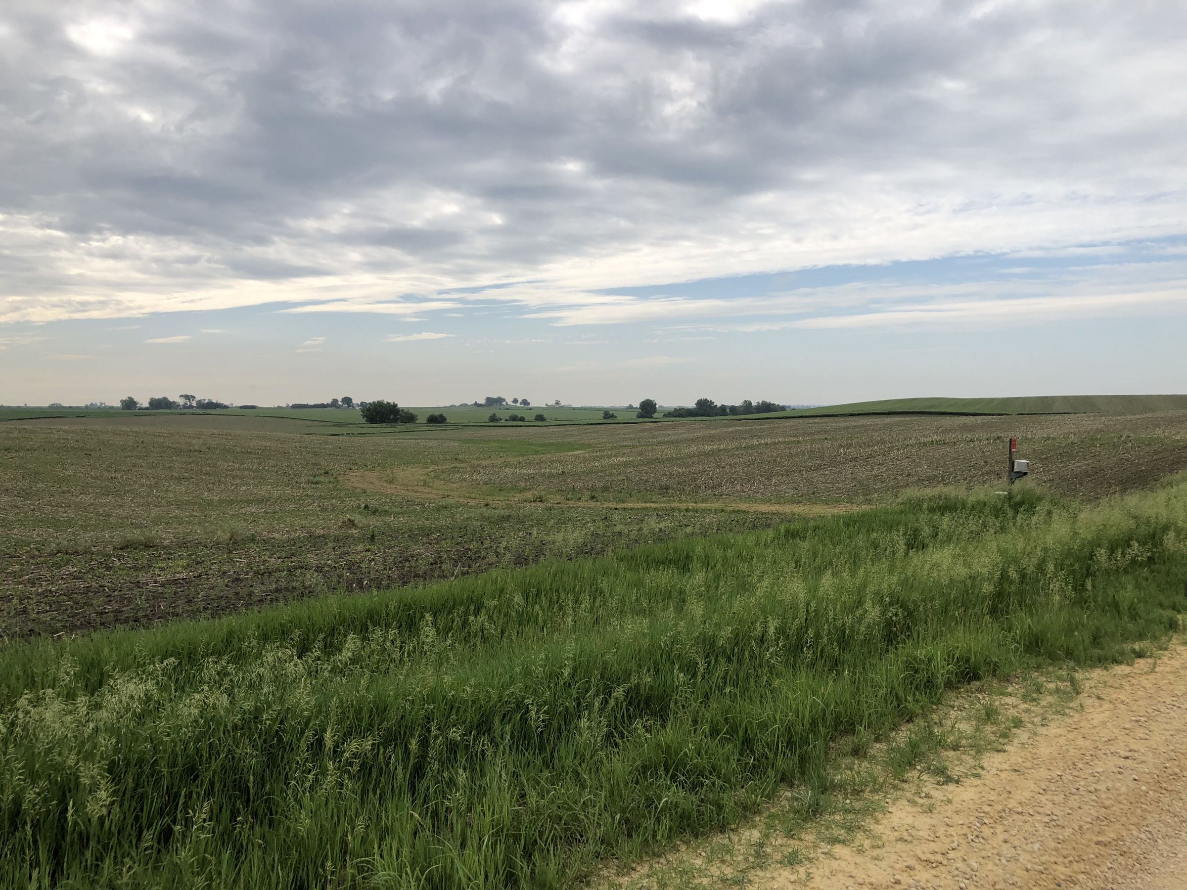 iowa-0-acres-listing-number-15569-5-2021-06-08-144740.jpg