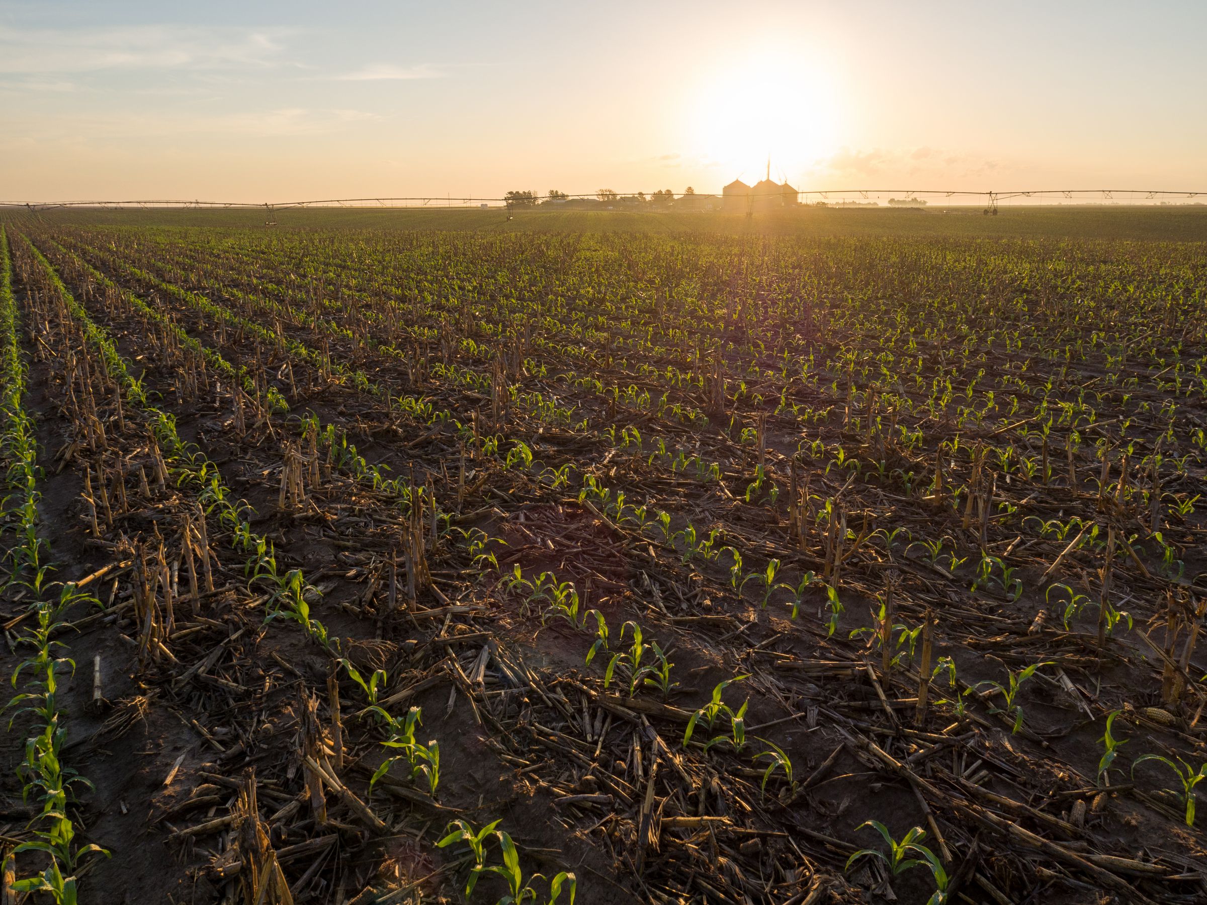 auctions-gray-haskell-county-kansas-2990-acres-listing-number-15570-1-2021-06-11-183956.jpeg