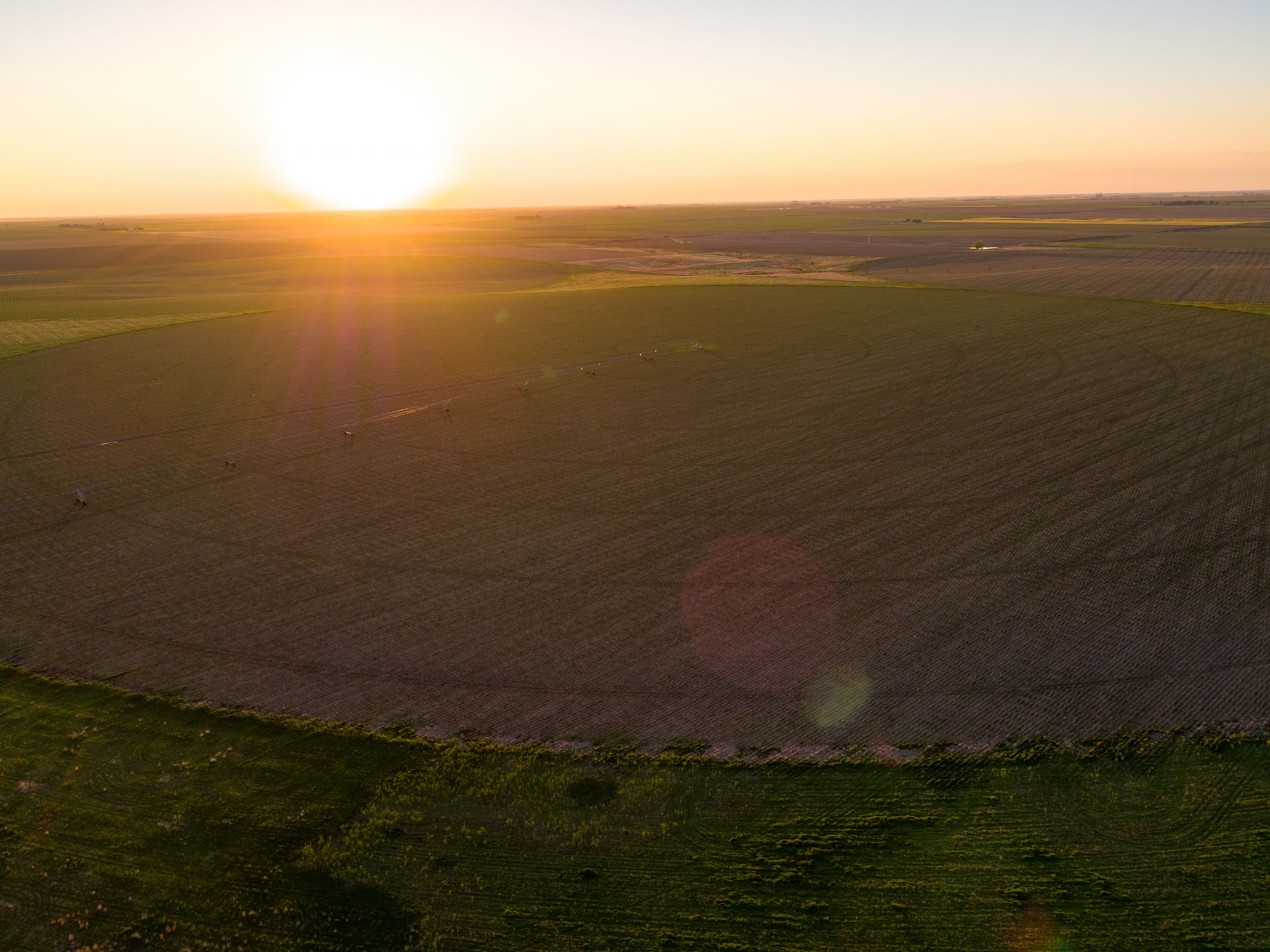 auctions-gray-haskell-county-kansas-2990-acres-listing-number-15570-1-2021-06-11-184113.jpeg